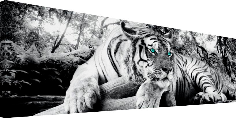Tiger - - Wohnzimmer - »Tigerblick Wandbild« Wandbild Raubtier Reinders! Wandbild kaufen bequem Wandbild