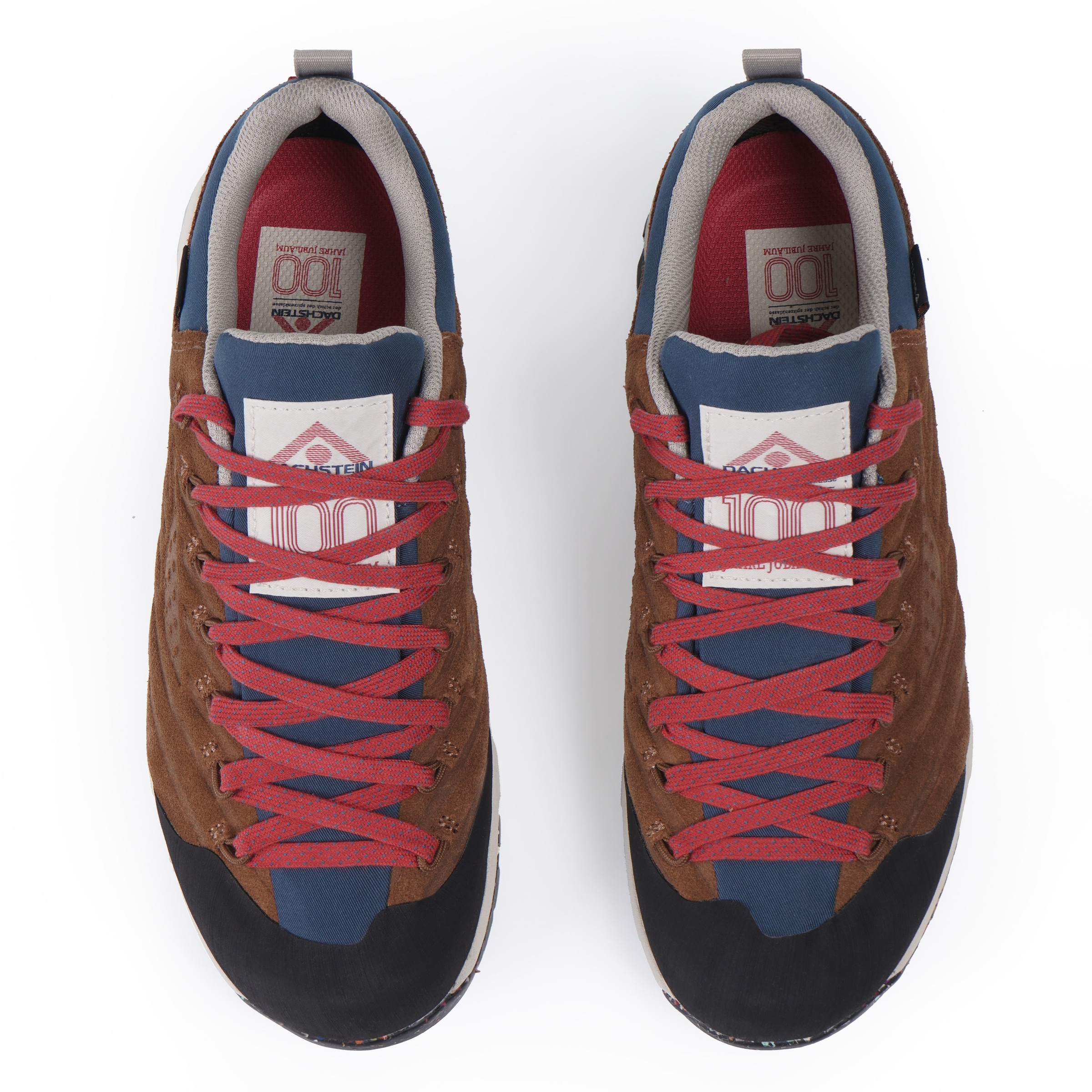 Dachstein Wanderschuh »SF-21 GORE-TEX 1925 WMN«, wasserdicht