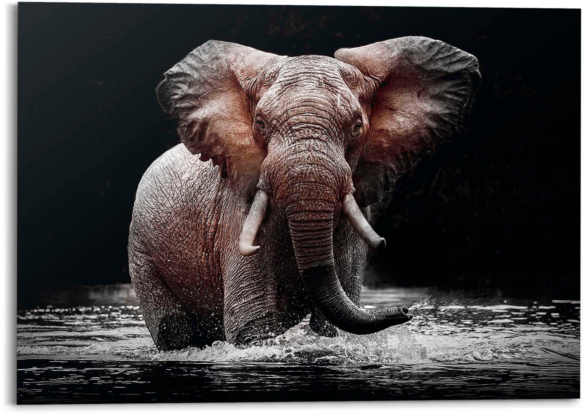 UNIVERSAL | Reinders! »Elefant« Deco-Panel kaufen