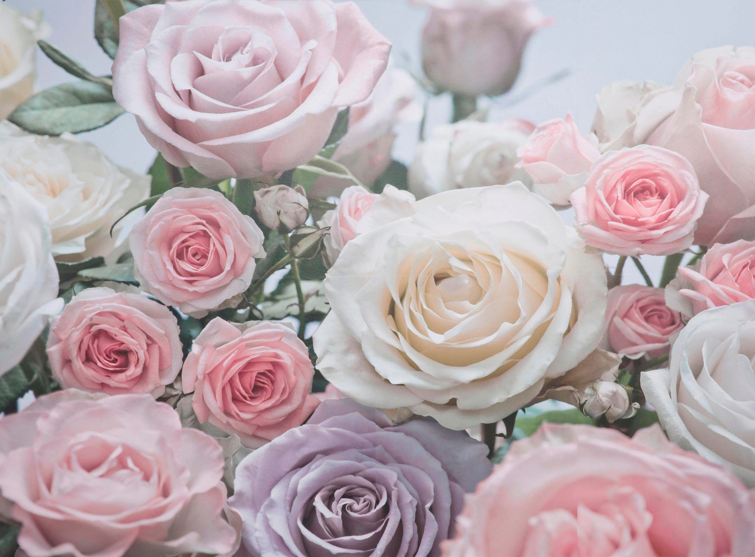Komar Fototapete "Floraison - Größe 368 x 254 cm" bedruckt glatt Wohnzimmer, Schlafzimmer