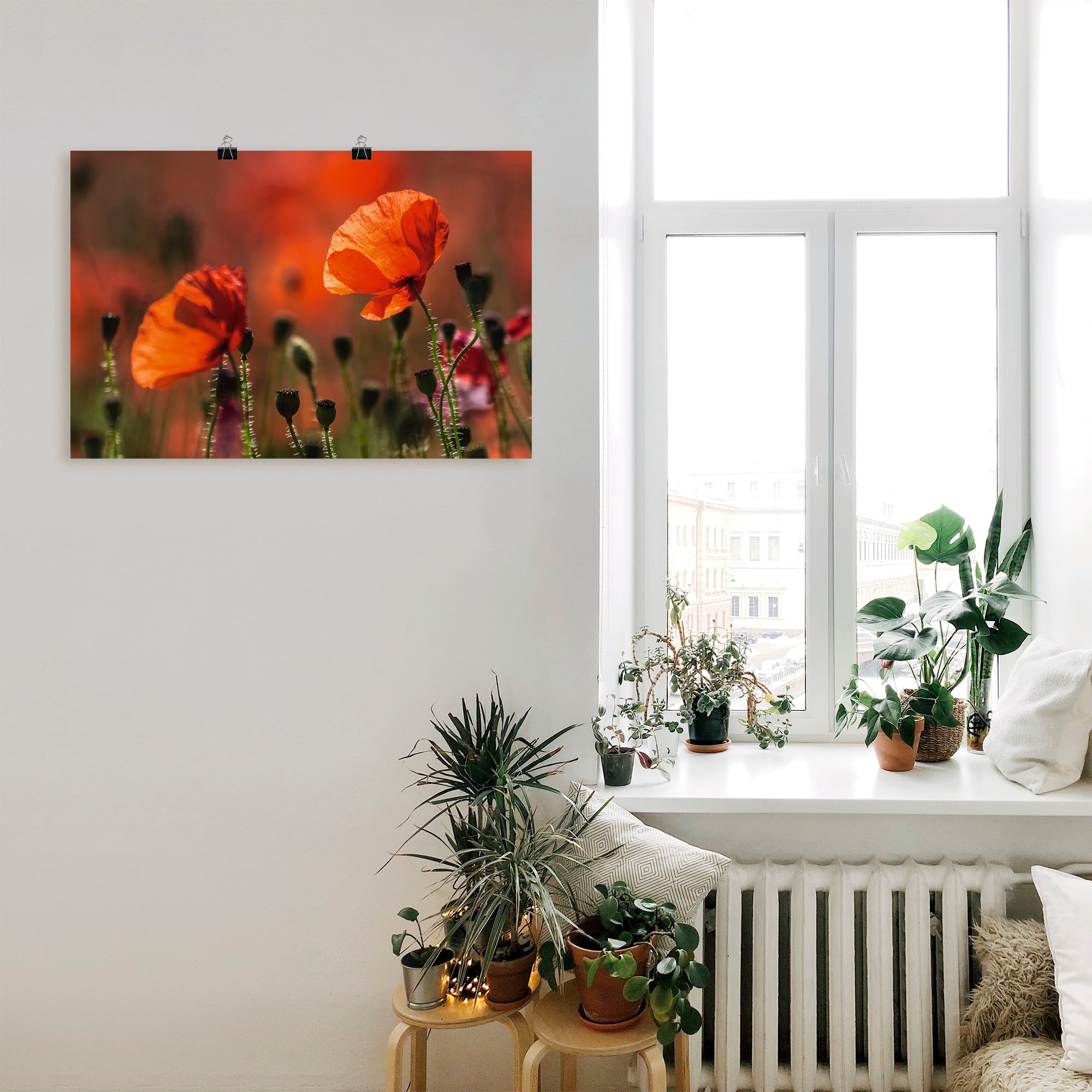 Artland Poster »Rote Mohnblumen in der Provence« Blumenbilder 1 Stk. tlg. ohne Rahmen