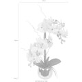I.GE.A. Kunstpflanze »Phalaenopsis im Topf«, (1 St.)