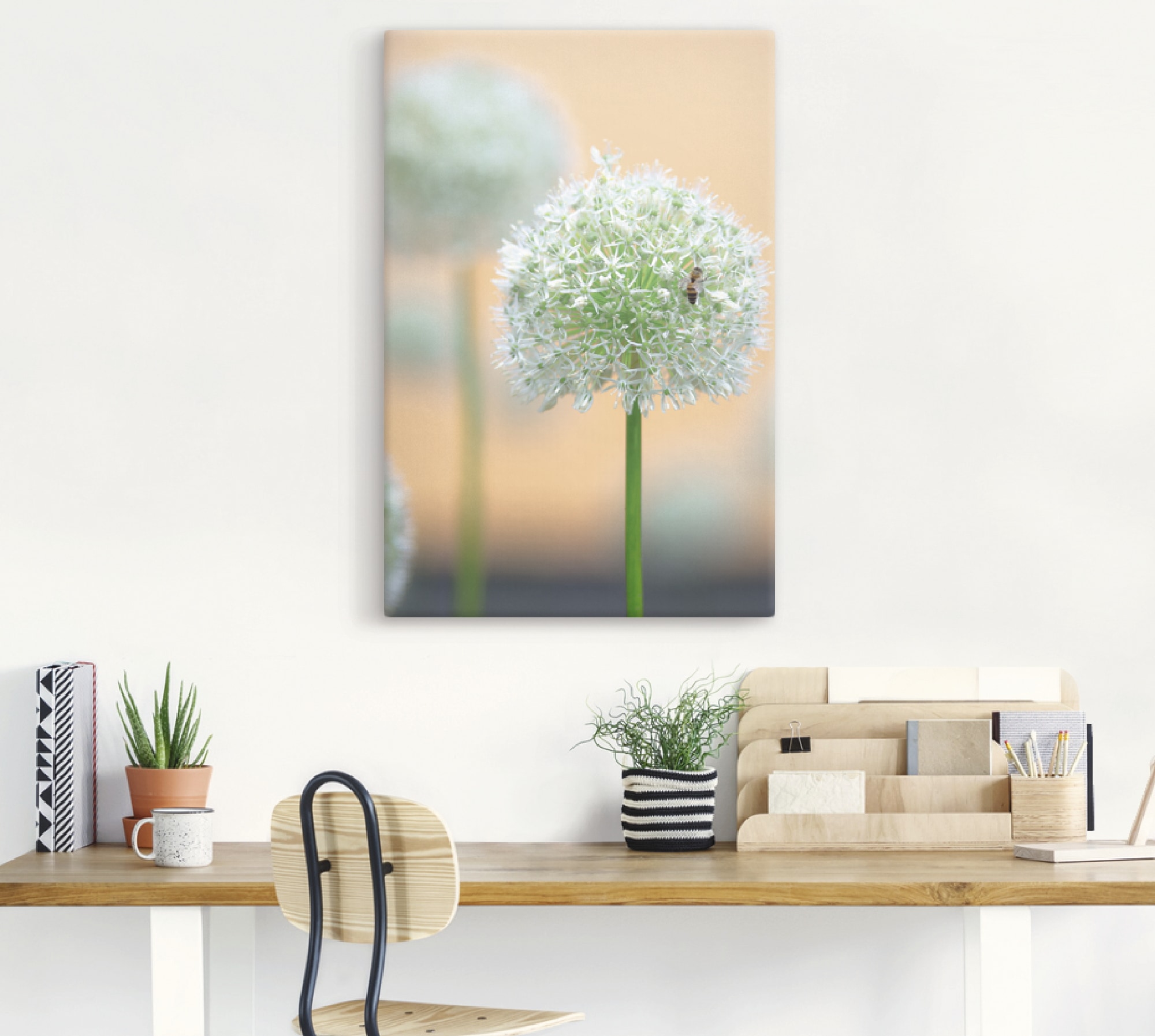 Artland Leinwandbild »Großer Allium in Pastell« Blumen 1 Stk. tlg. auf Holzrahmen gespannt