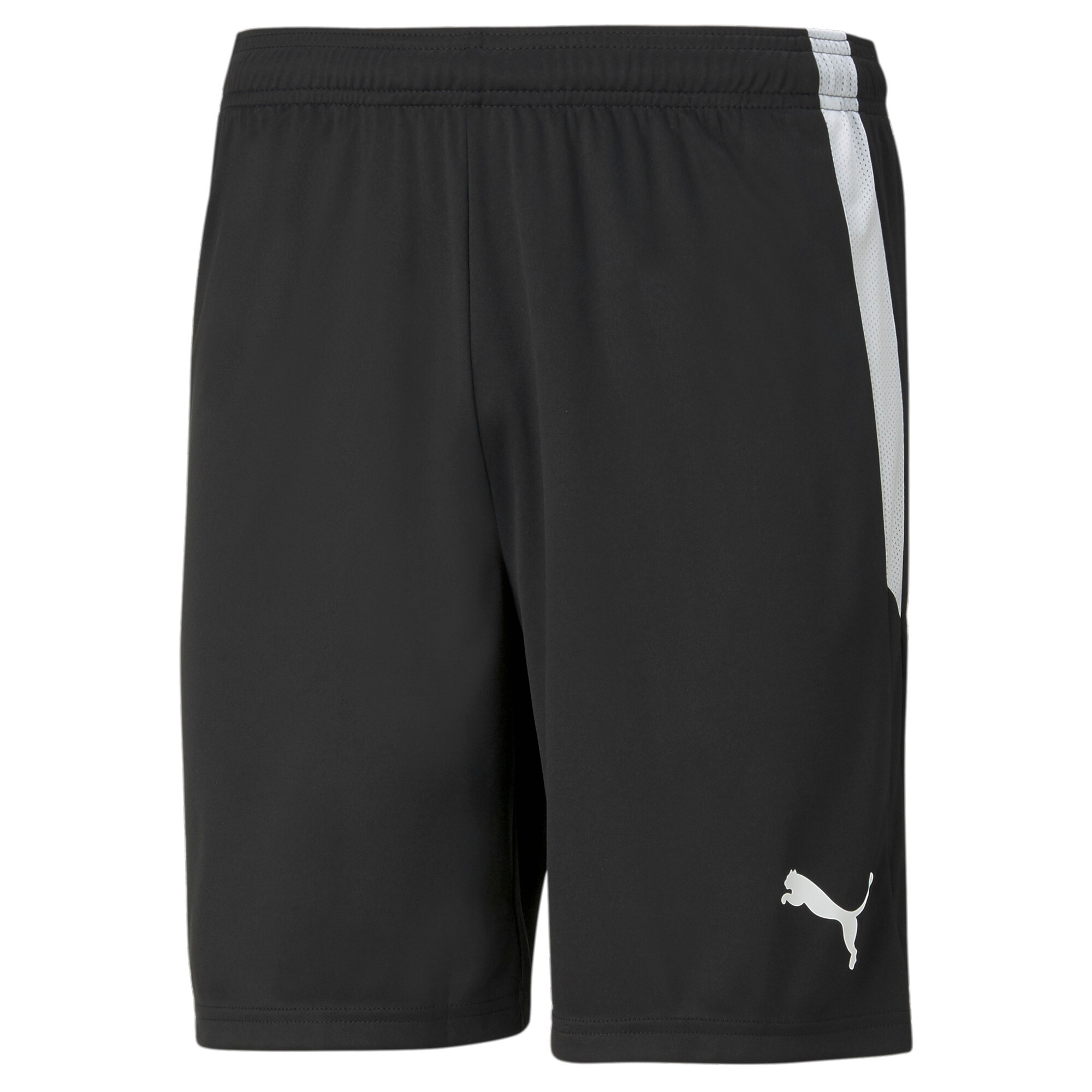 PUMA Trainingsshorts »TEAMLIGA SHORTS«