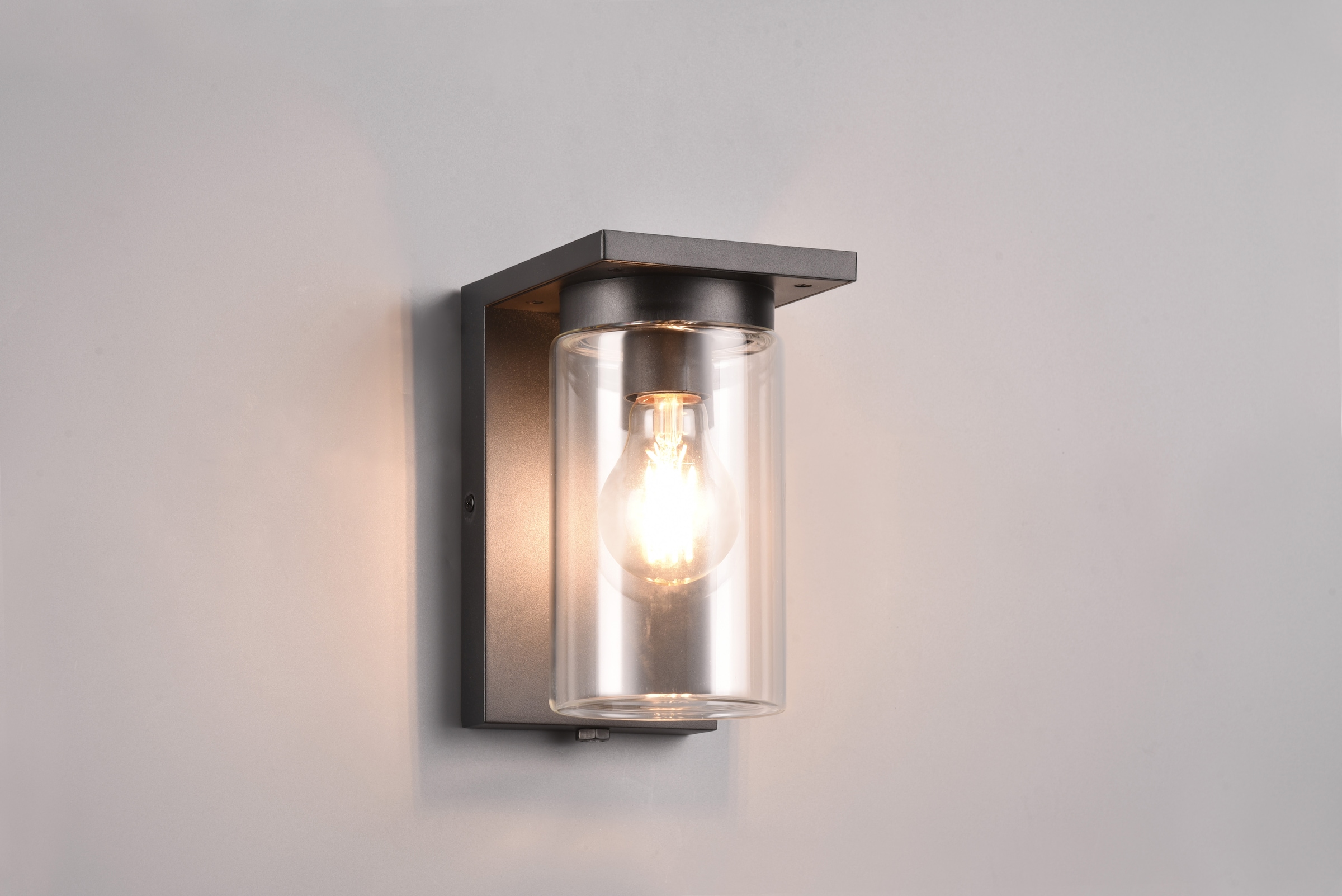 TRIO Leuchten Außen-Wandleuchte »ARDILA, Outdoor Fassadenleuchte mit Glasschirm, Dämmerungssensor« E27 1 Stk. warmweiß - kaltweiß exkl 1x E27 max 40W, IP44, Wandlampe für Hauswand Garten Terrasse