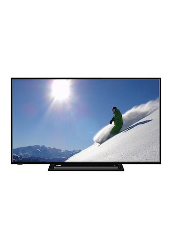 LED-Fernseher »43UK3163DG«, 108 cm/43 Zoll, 4K Ultra HD, Smart-TV