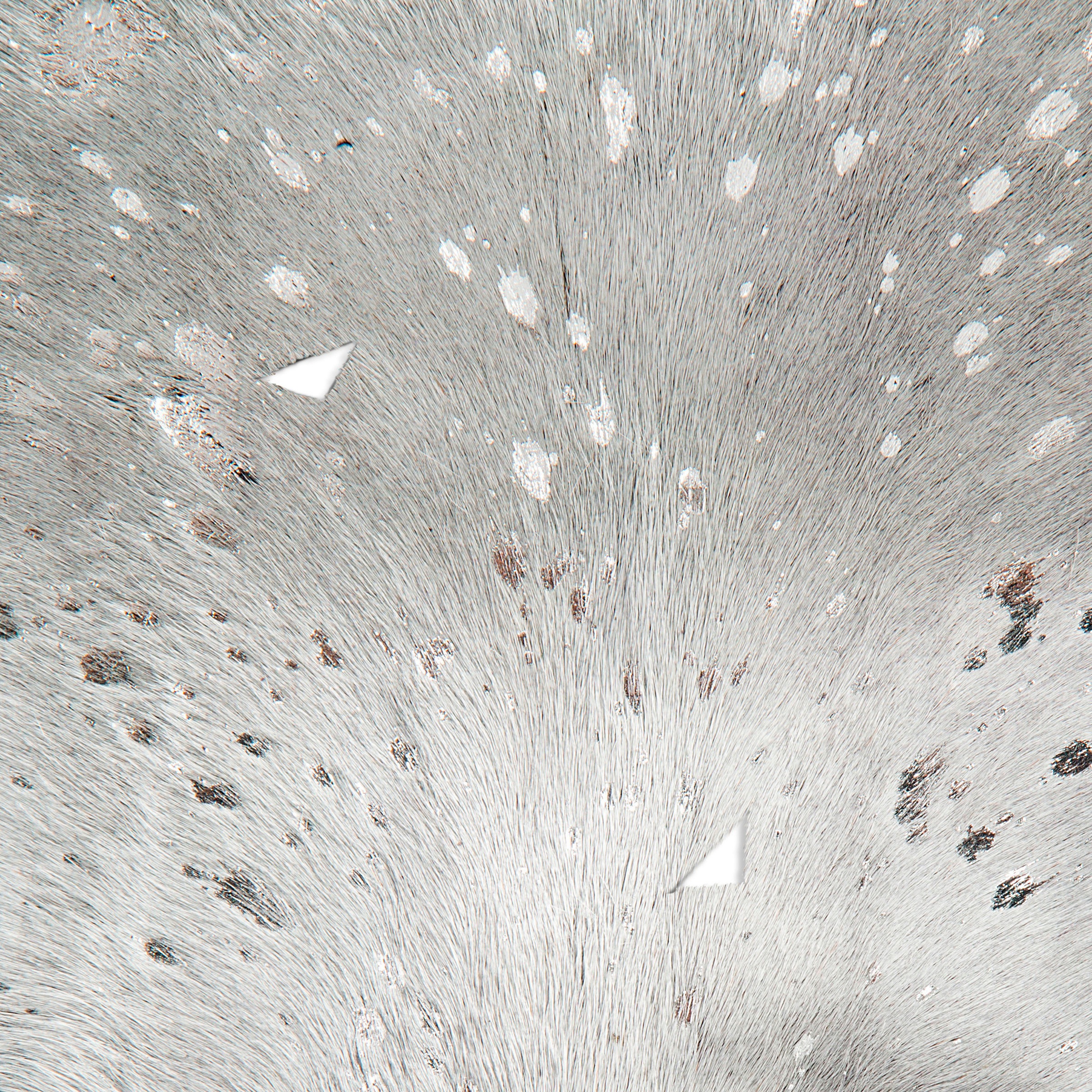 my home Fellteppich »Elaya« fellförmig 12 mm Höhe stilvoll, Teppich aus Leder