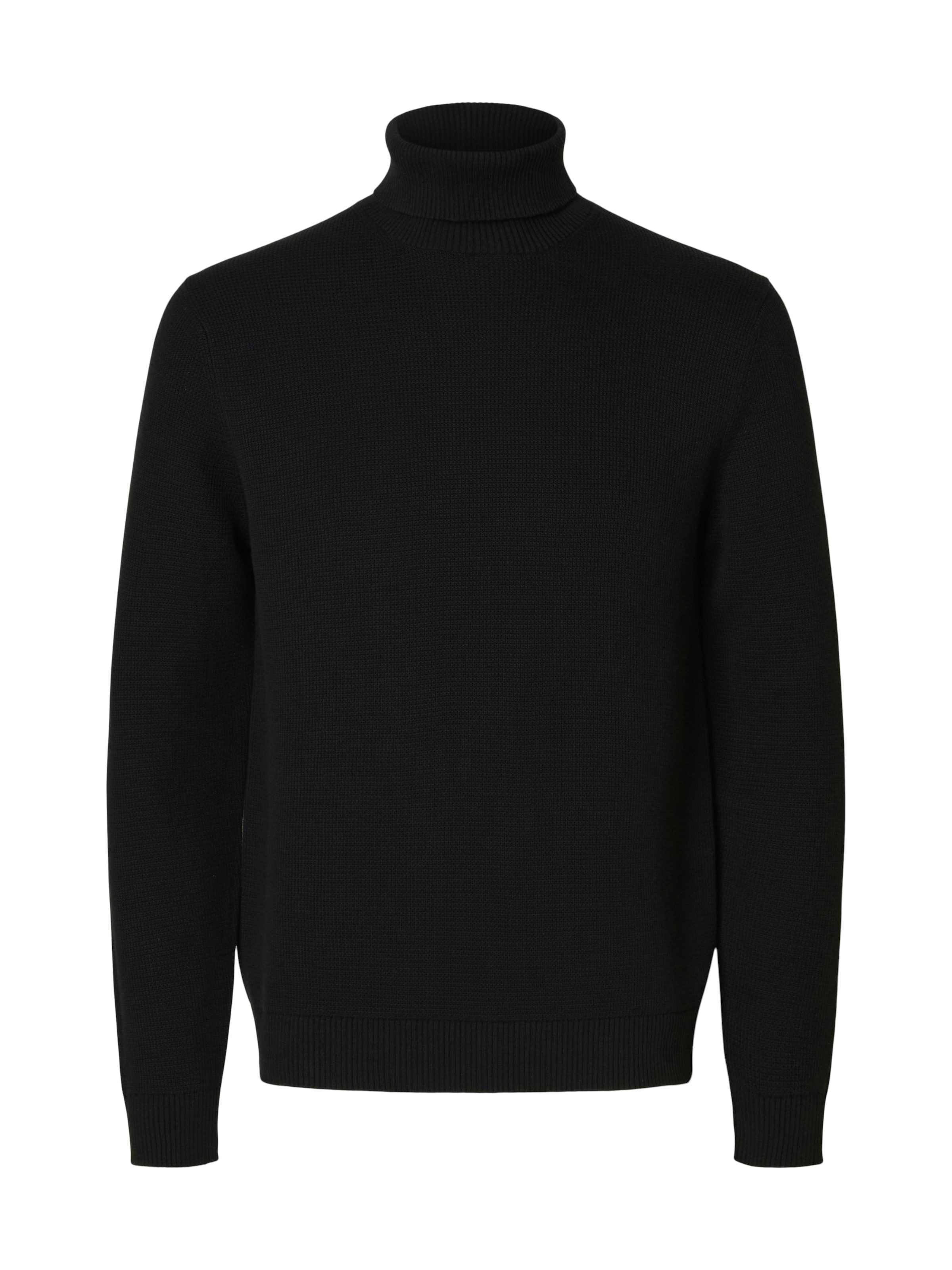 SELECTED Rollkragenpullover »SLHDANE LS KNIT STRUCTURE ROLL NECK NOOS«