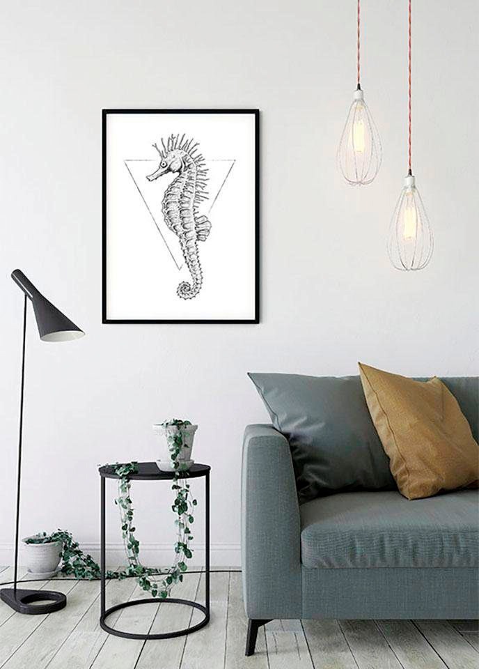 Komar Bild »Sea Horse White« Tiere 1 Stk. tlg. Wandbild zur Dekoration - ohne Rahmen