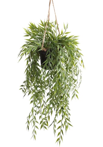 Botanic-Haus Künstliche Zimmerpflanze »Bambus-Hängeampel«, (1 St.) kaufen