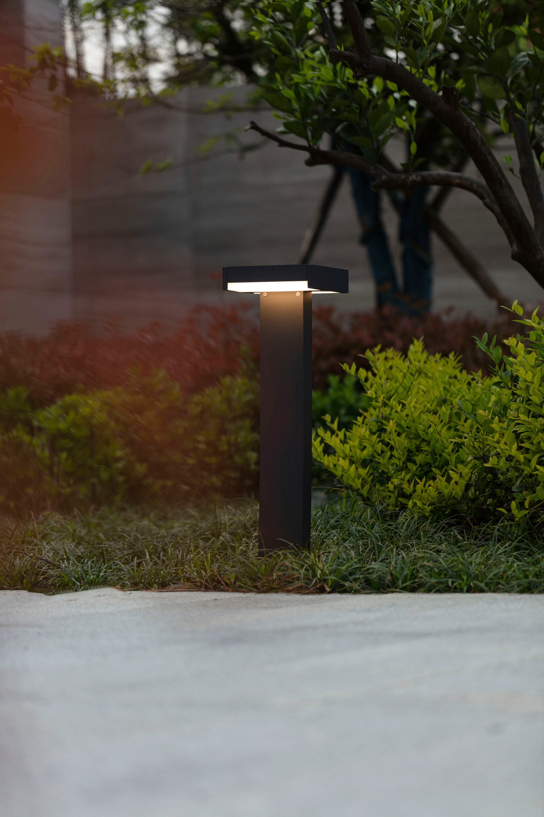 LUTEC LED Außen-Wandleuchte »CONROY«, Leuchtmittel LED-Modul | LED fest integriert, verstellbar