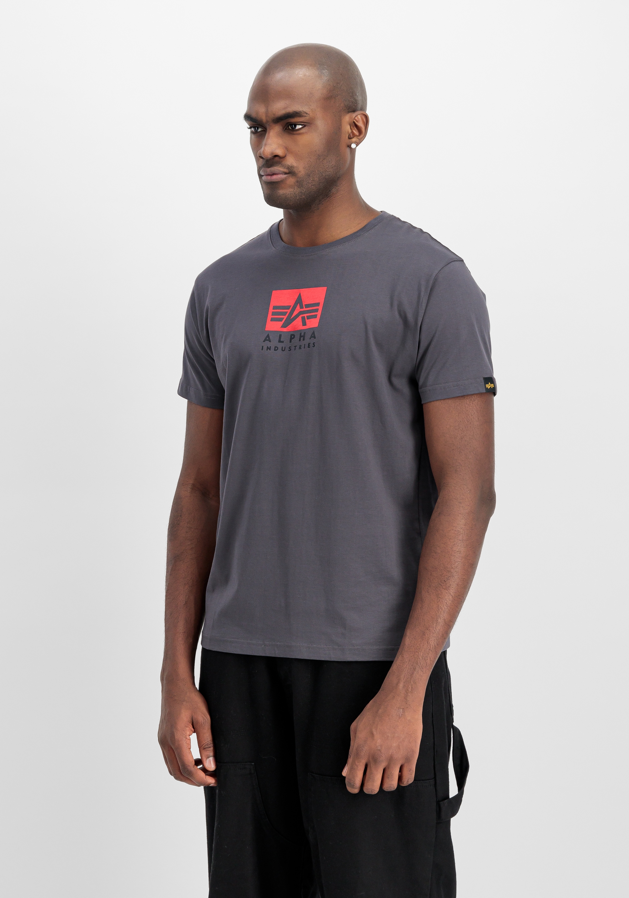 Alpha Industries T-Shirt »Satin Logo T-Shirt«