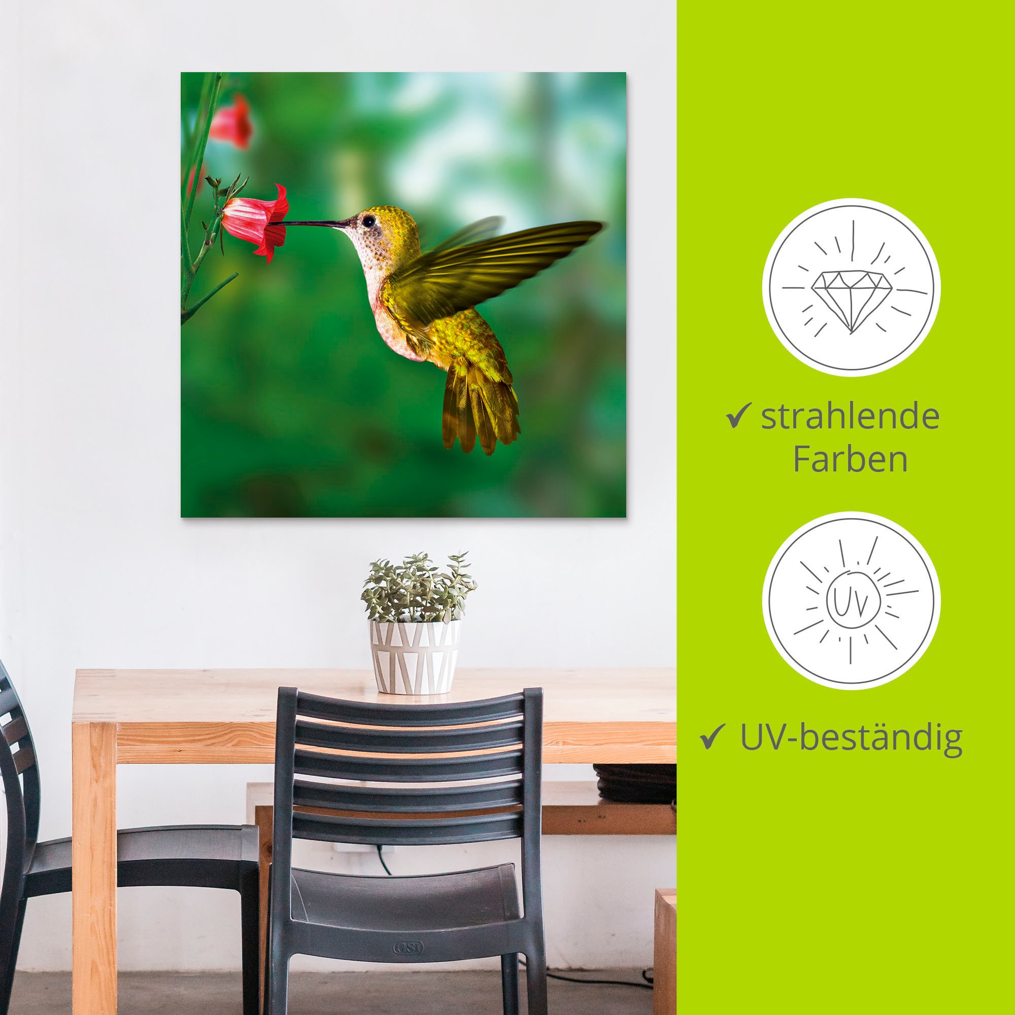 Artland Wandbild »Kolibri«, Vögel, (1 St.), als Alubild, Outdoorbild, Leinwandbild, Poster in verschied. Größen