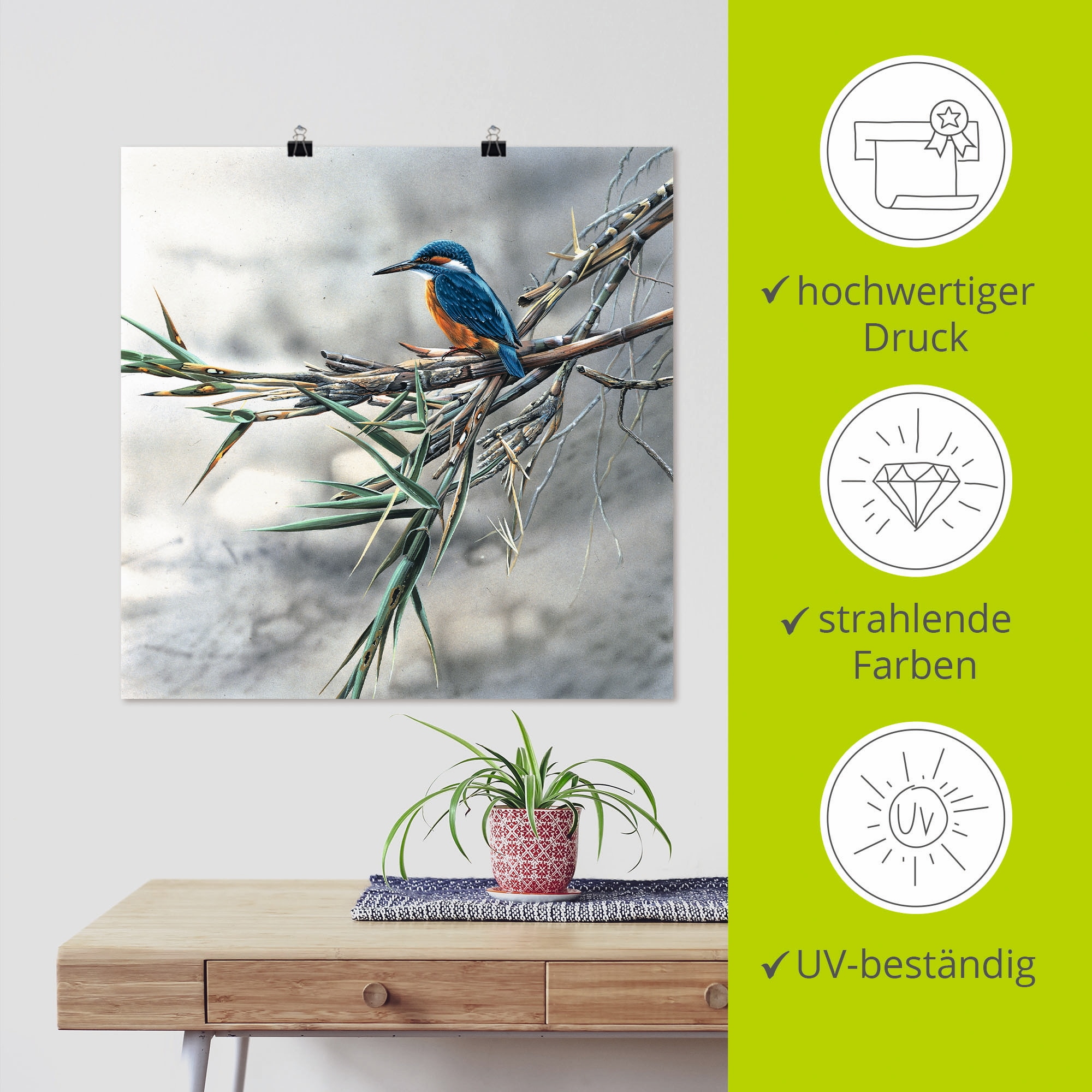 Artland Wandbild »Eisvogel I« Vögel 1 Stk. tlg. als Leinwandbild, Poster in verschied. Größen