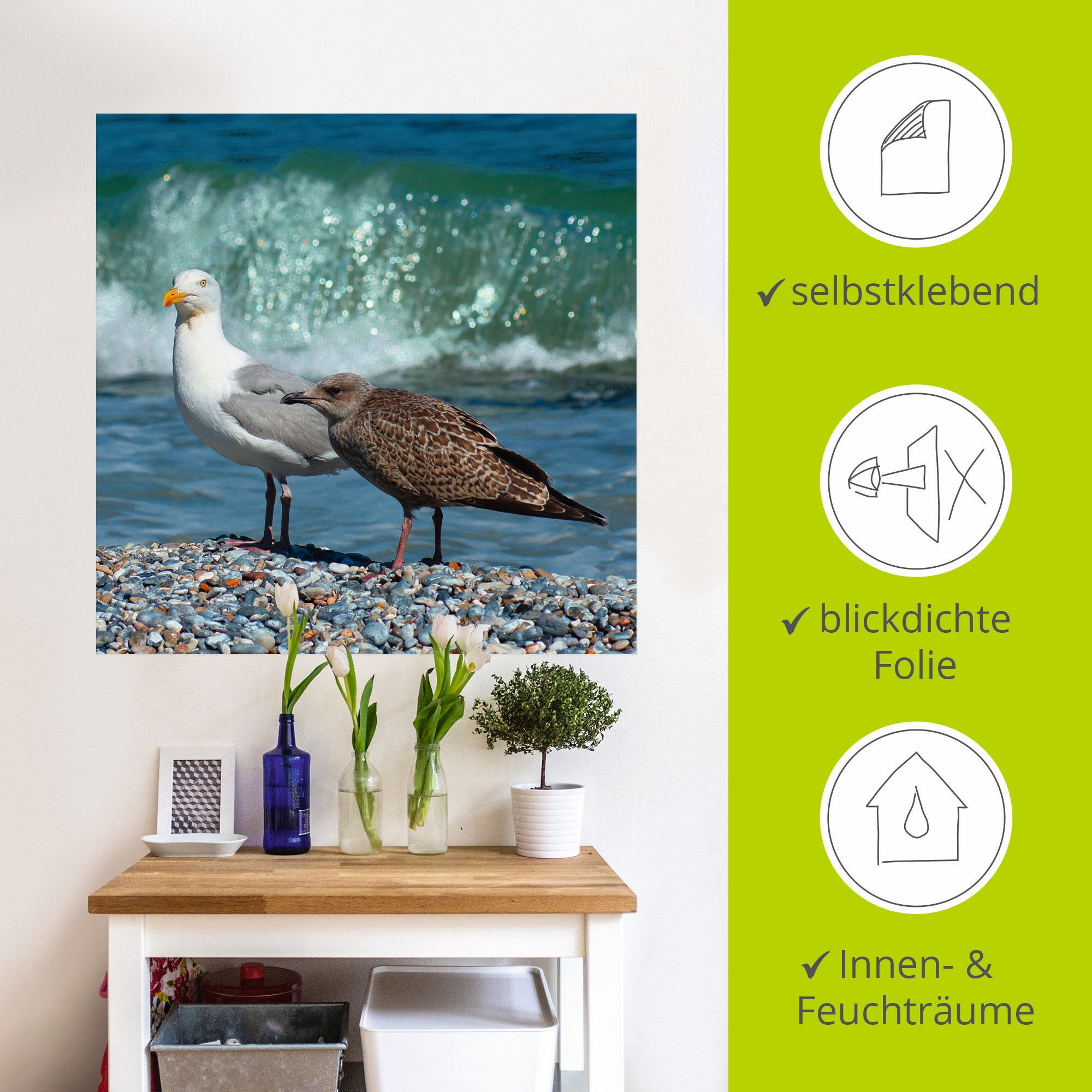 Artland Wandbild »Möwen in der Meeresbrandung«, Vögel, (1 St.), als Poster, Wandaufkleber in verschied. Größen