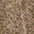 Fossil