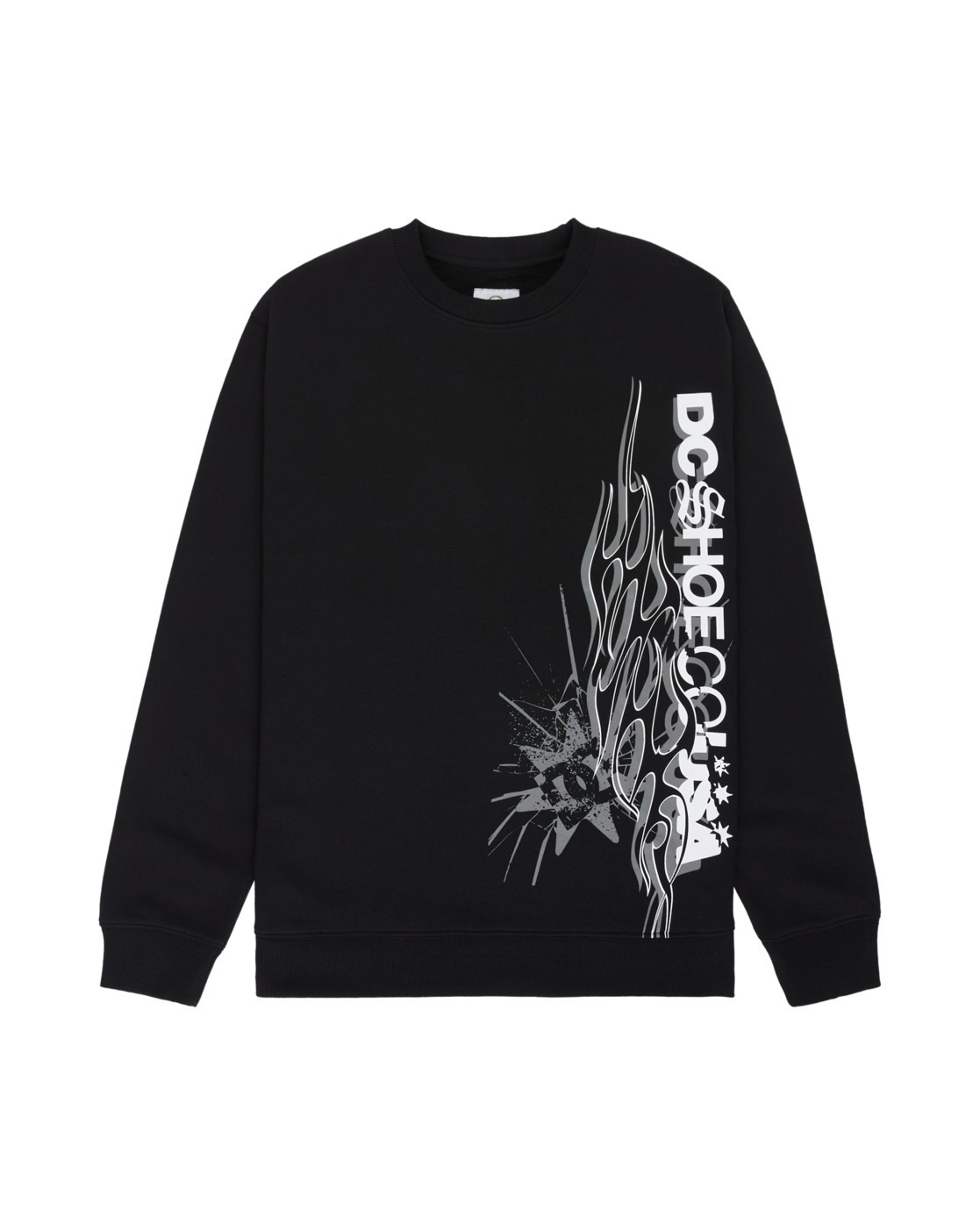 DC Shoes Sweatshirt »DC Side Flame«
