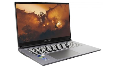 CAPTIVA Gaming-Notebook »Advanced Gaming I68-213«, (43,9 cm/17,3 Zoll), Intel, Core... kaufen