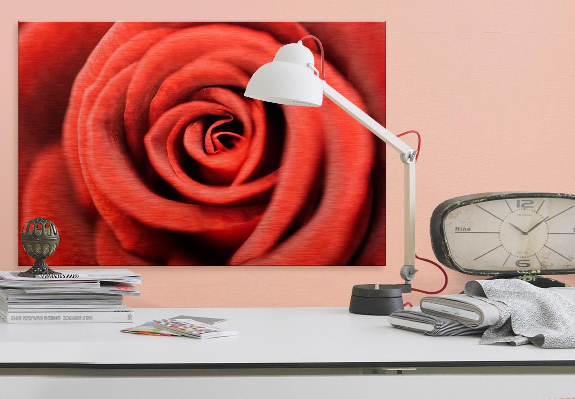 Wall-Art Alu-Dibond-Druck »Rote Rose«, 120/75 cm auf Raten bestellen