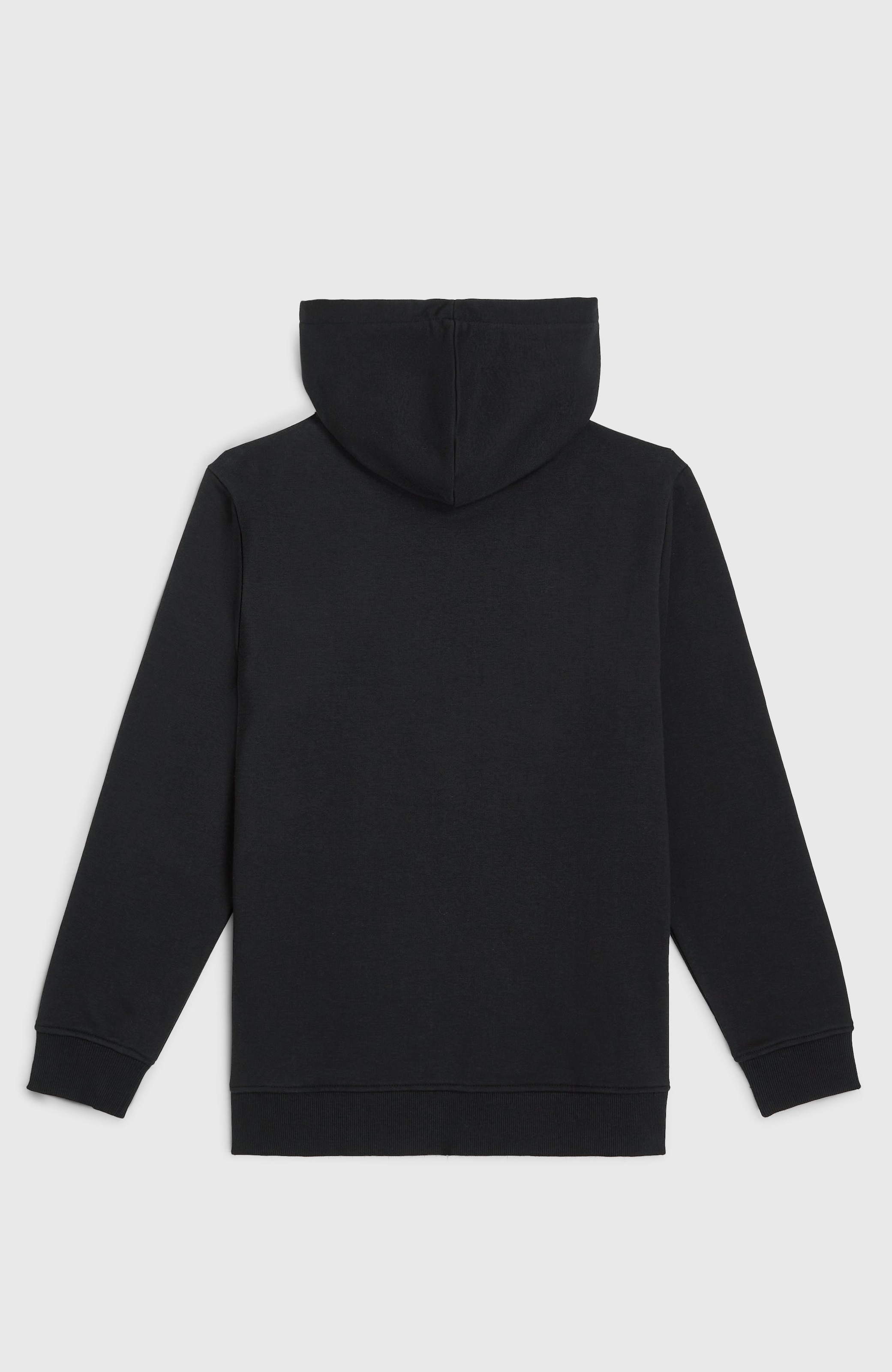 O'Neill Kapuzensweatshirt »ESSENTIALS HOODIE«, 1 Stk.
