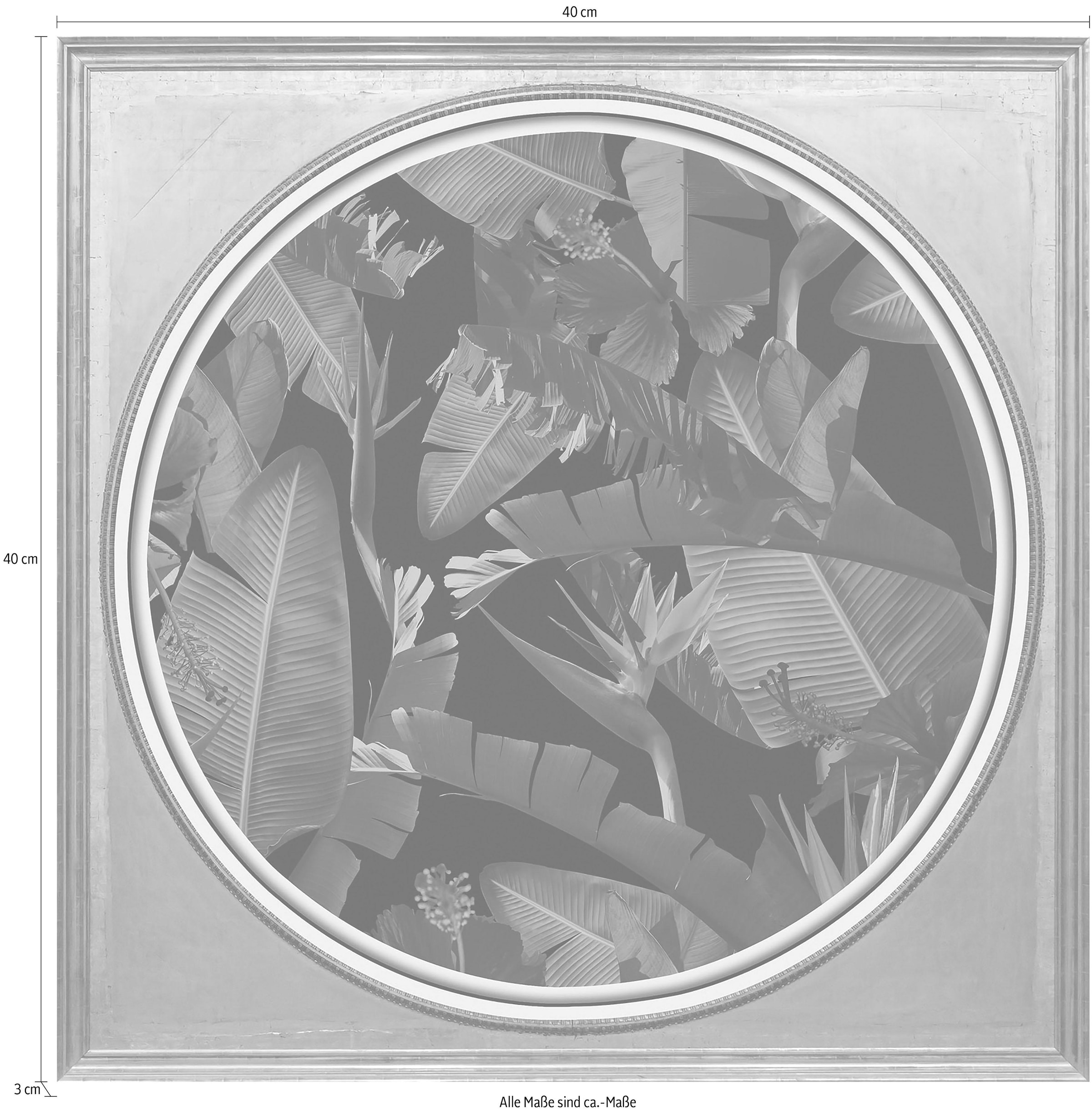 queence Acrylglasbild »Tropische Pflanzen II«, Blumen-Blumenbilder-Kunst-Pflanzen-Pflanzenbilder-Gemälde-Wald-Waldbilder, Fine Art-Print in Galeriequalität