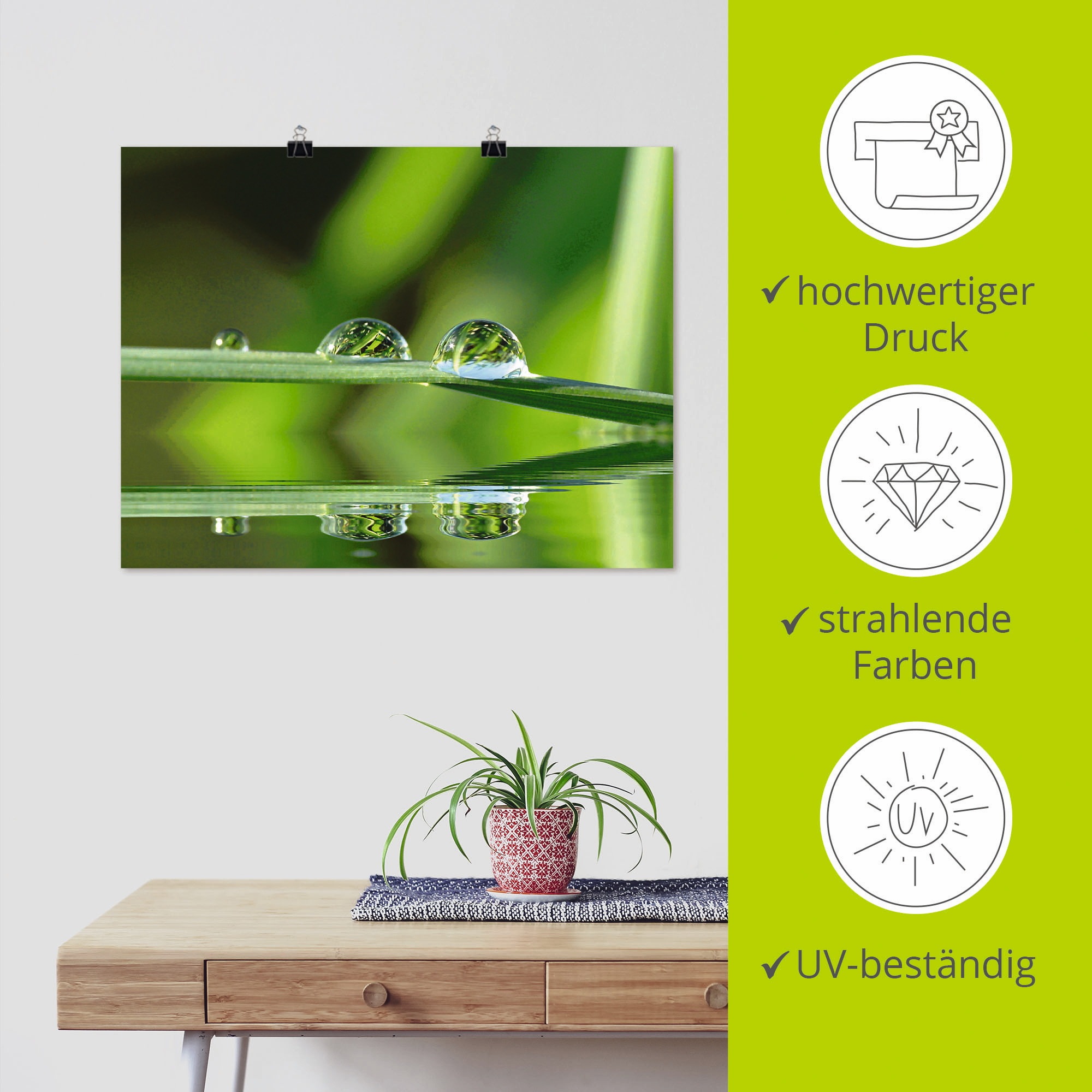 Artland Poster »Zwei Wassertropfen«, Gräser, (1 St.), als Leinwandbild, Wandaufkleber oder Poster in versch. Größen