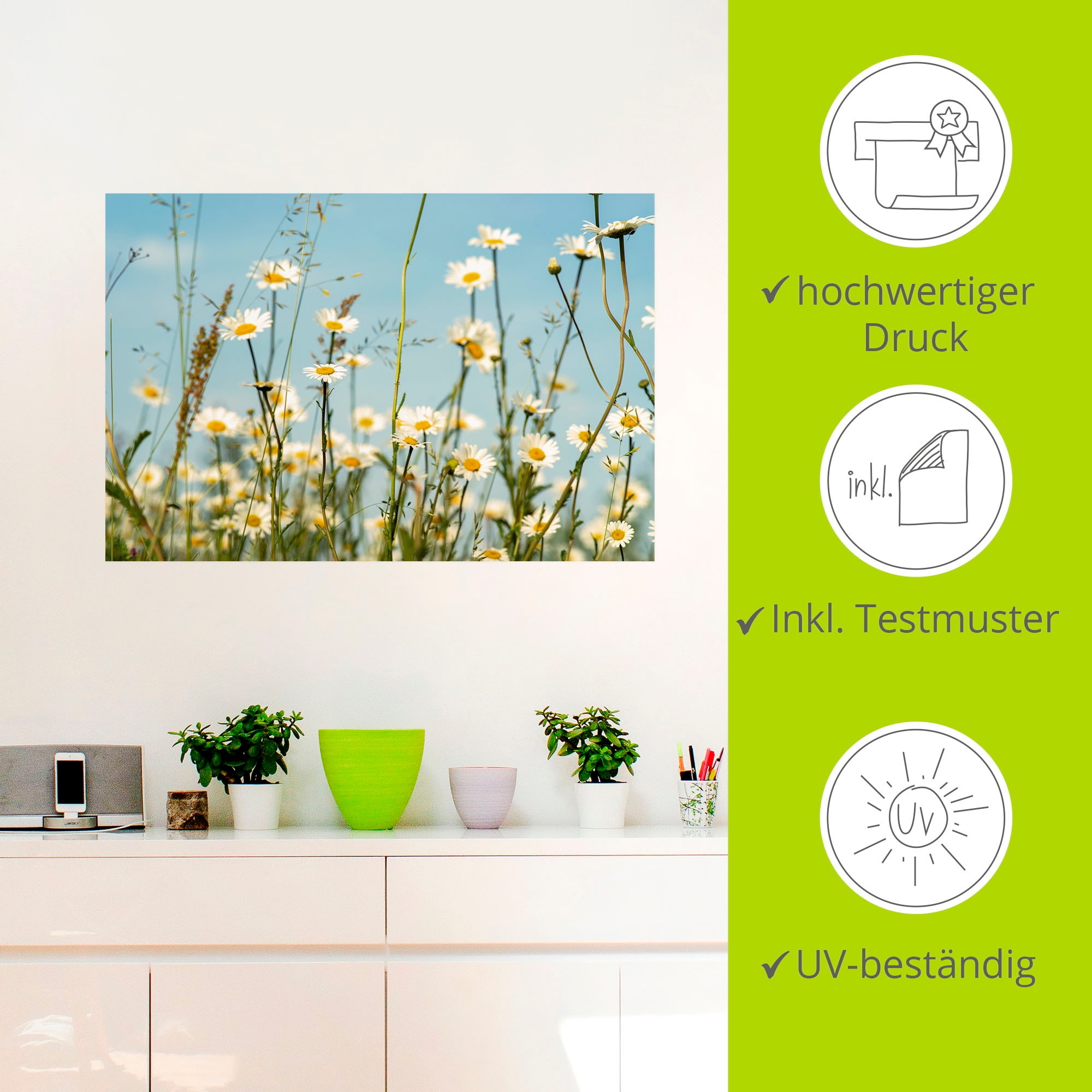 Artland Wandbild »Margeriten vor Sommer Himmel«, Blumenbilder, (1 St.), als Leinwandbild, Wandaufkleber in verschied. Größen