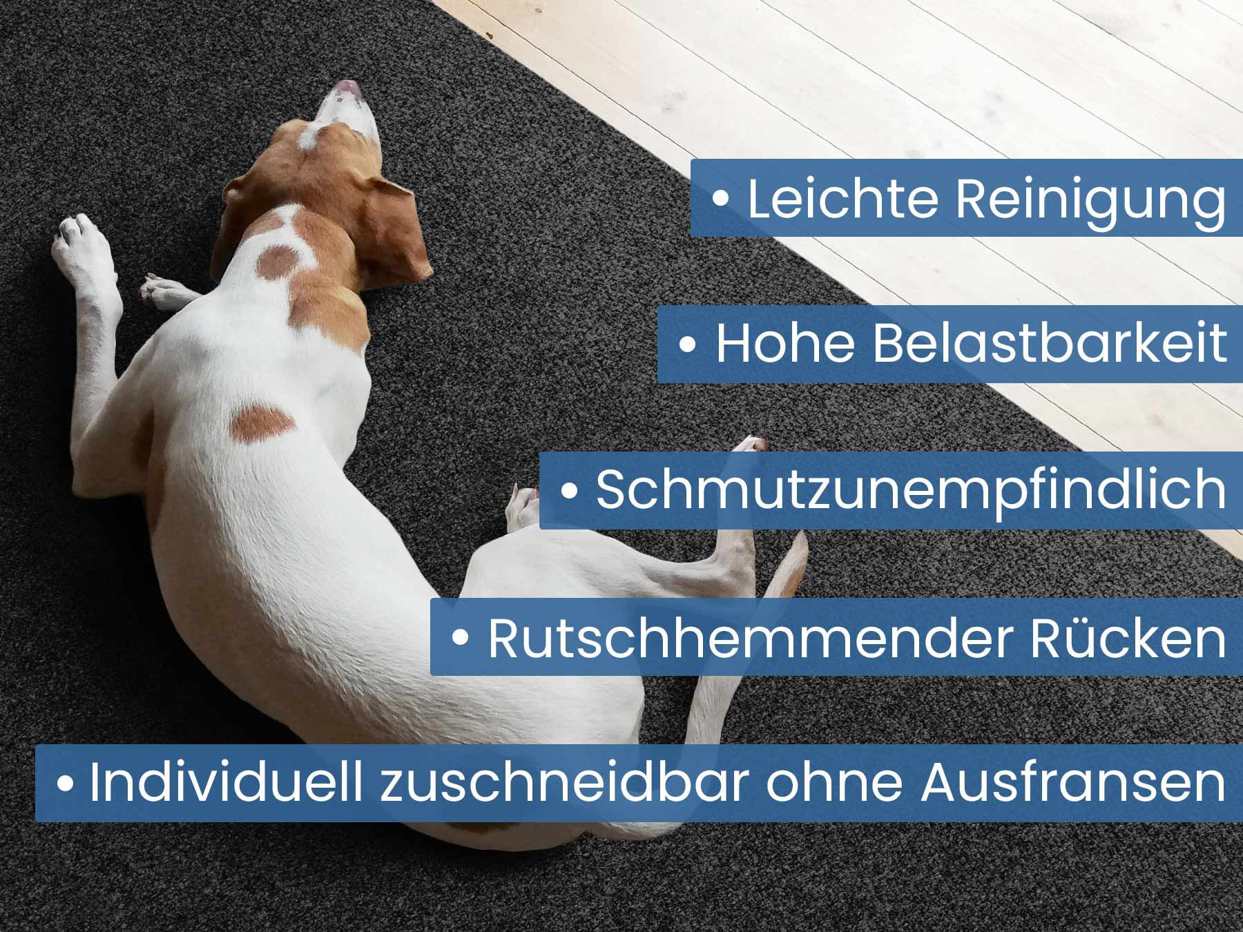 Primaflor-Ideen in Textil Läufer »Schmutzfangläufer PICOLLO, Made in Belgium«, rechteckig, 8 mm Höhe, Schmutzfangmatte, meliert, strapazierfähig, rutschhemmend