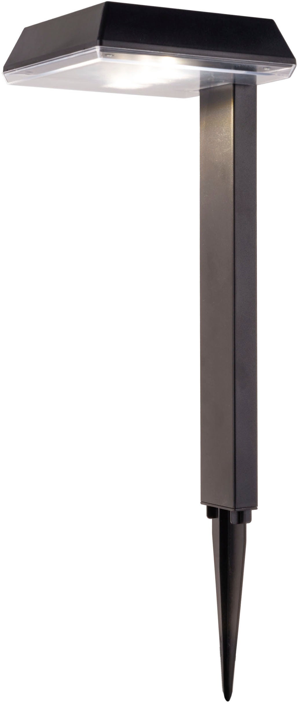 näve LED Solarleuchte »Sigi« LED-Modul 1 Stk. Warmweiß Dekoerdspieß, H: 79cm, Dämmerungssensor, schwarz, LED warmweiß