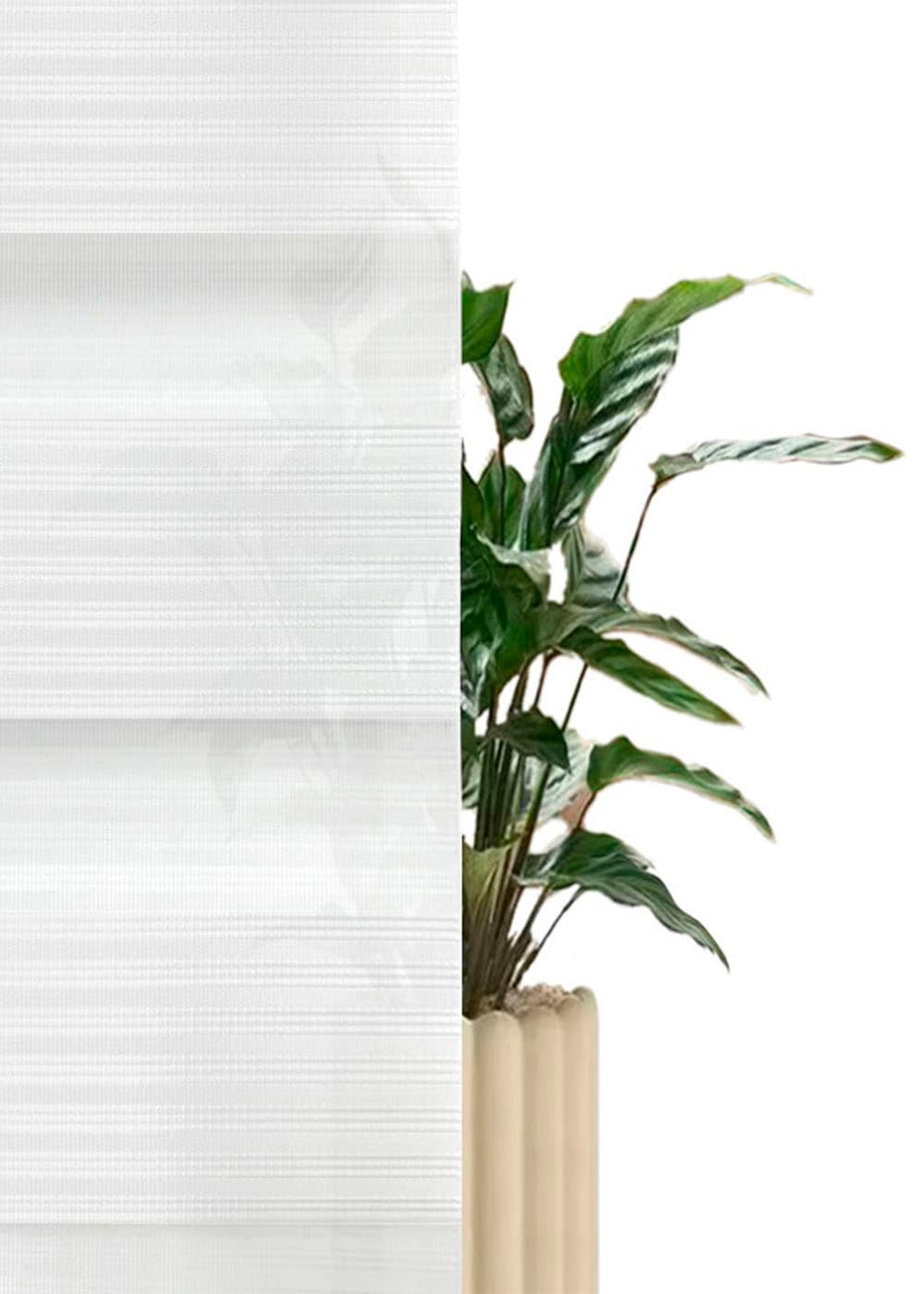 my home Doppelrollo »MILO«, Lichtschutz, Sichtschutz, ohne Bohren, freihängend, in moderner Streifenoptik NEUHEIT!