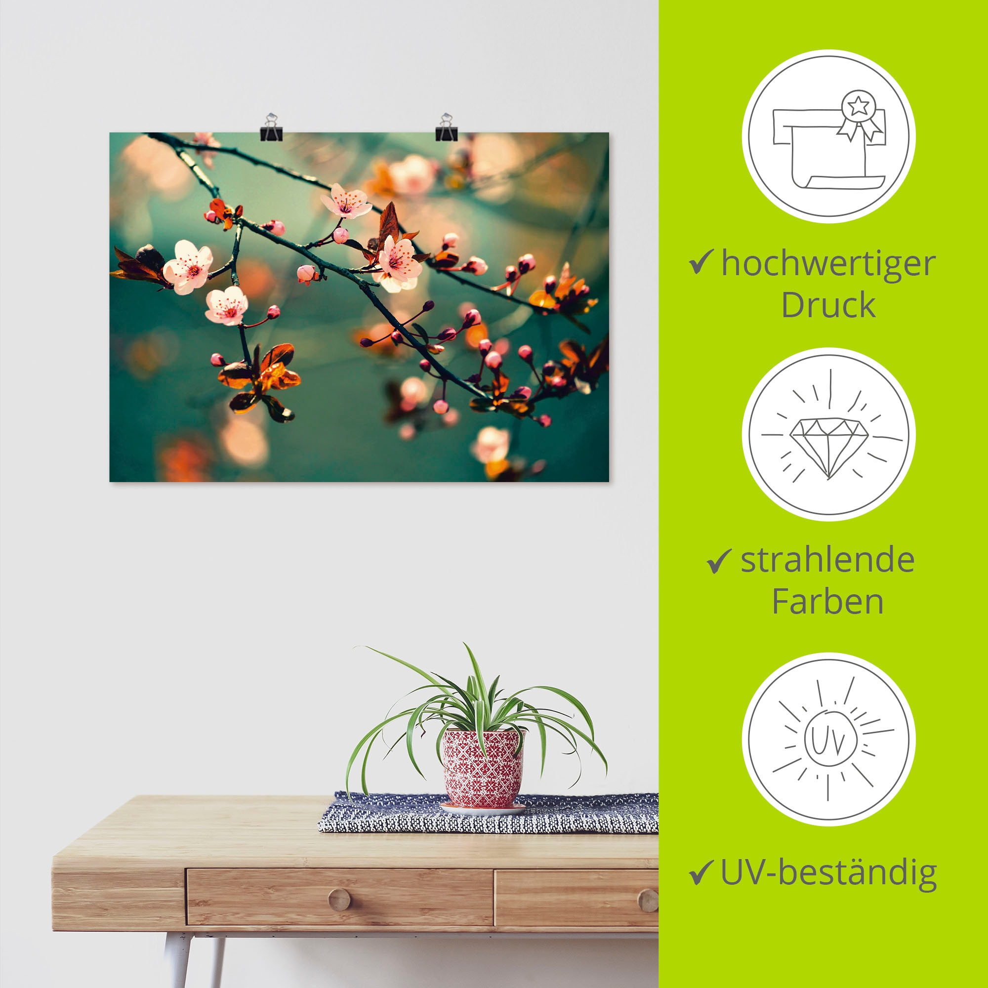 Artland Wandbild »Japanische Kirsch Sakura Blumen« Blumen 1 Stk. tlg. als Leinwandbild, Poster in verschied. Größen