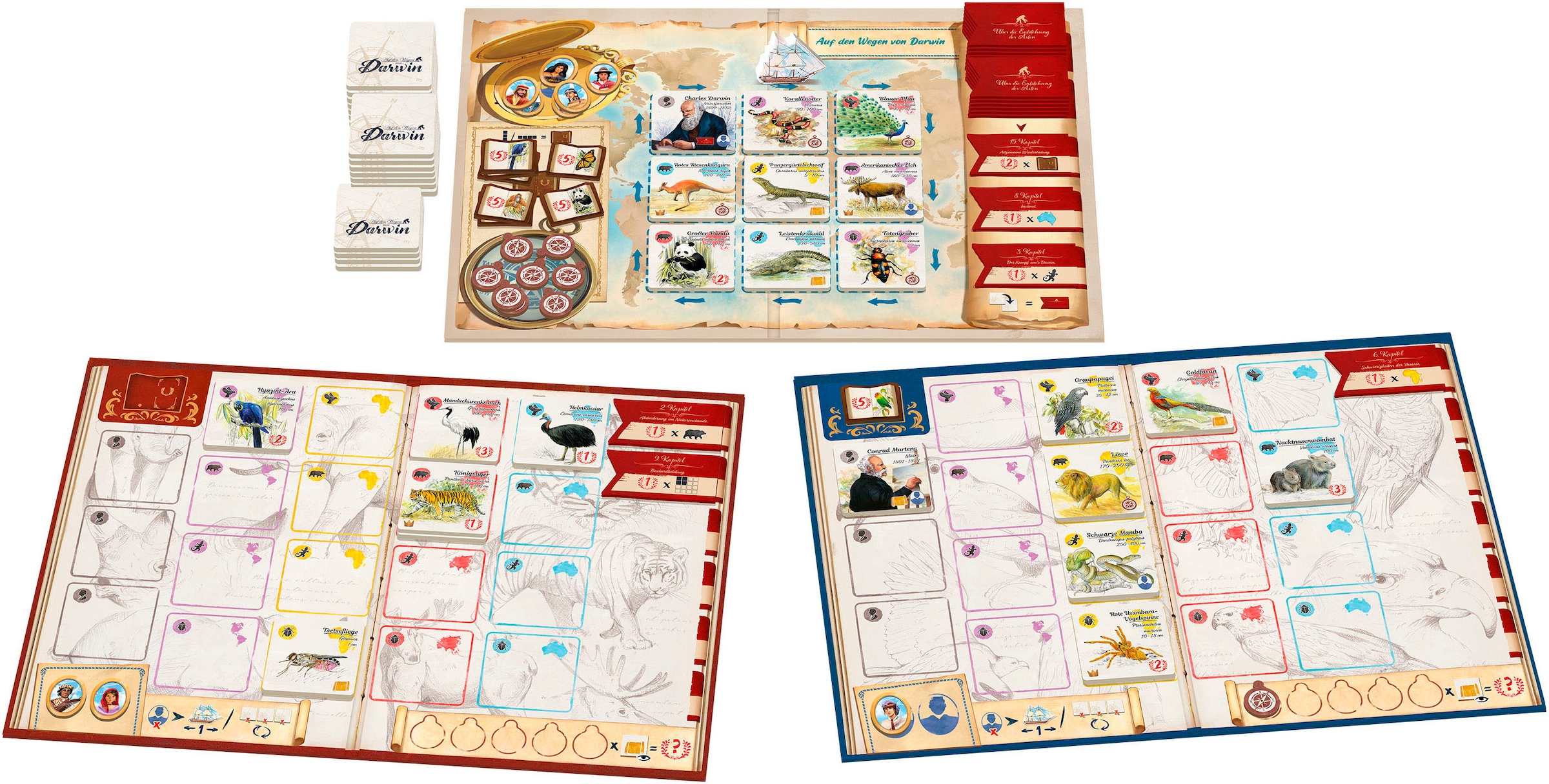 Asmodee Spiel »Auf den Wegen von Darwin«
