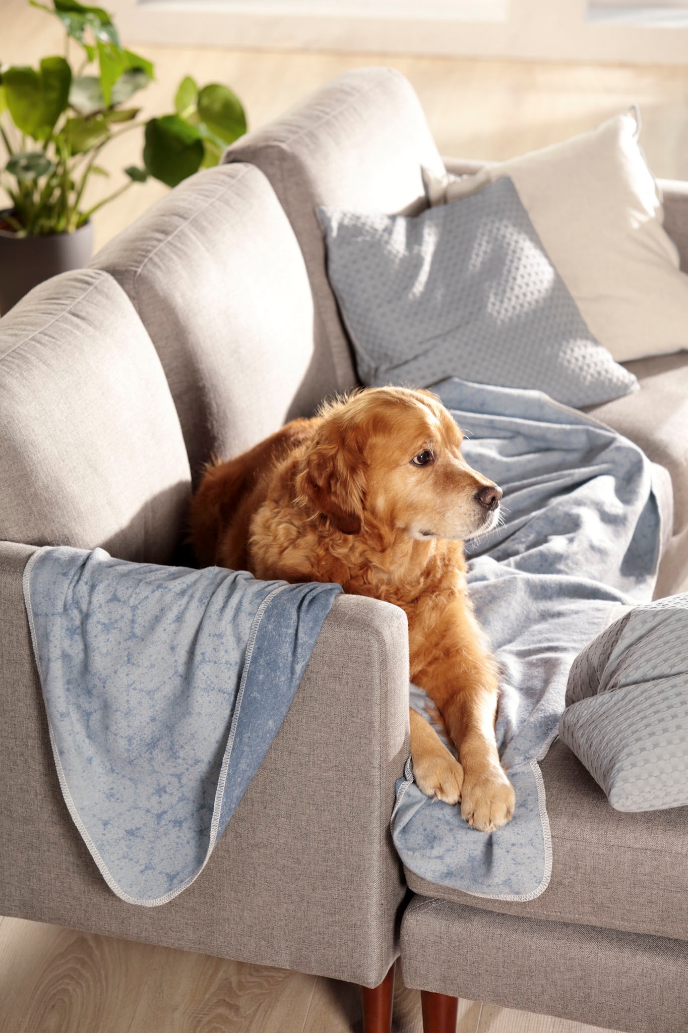 Biederlack Wohndecke »Reused«, aus recycelten Jeans-Artikeln, Kuscheldecke