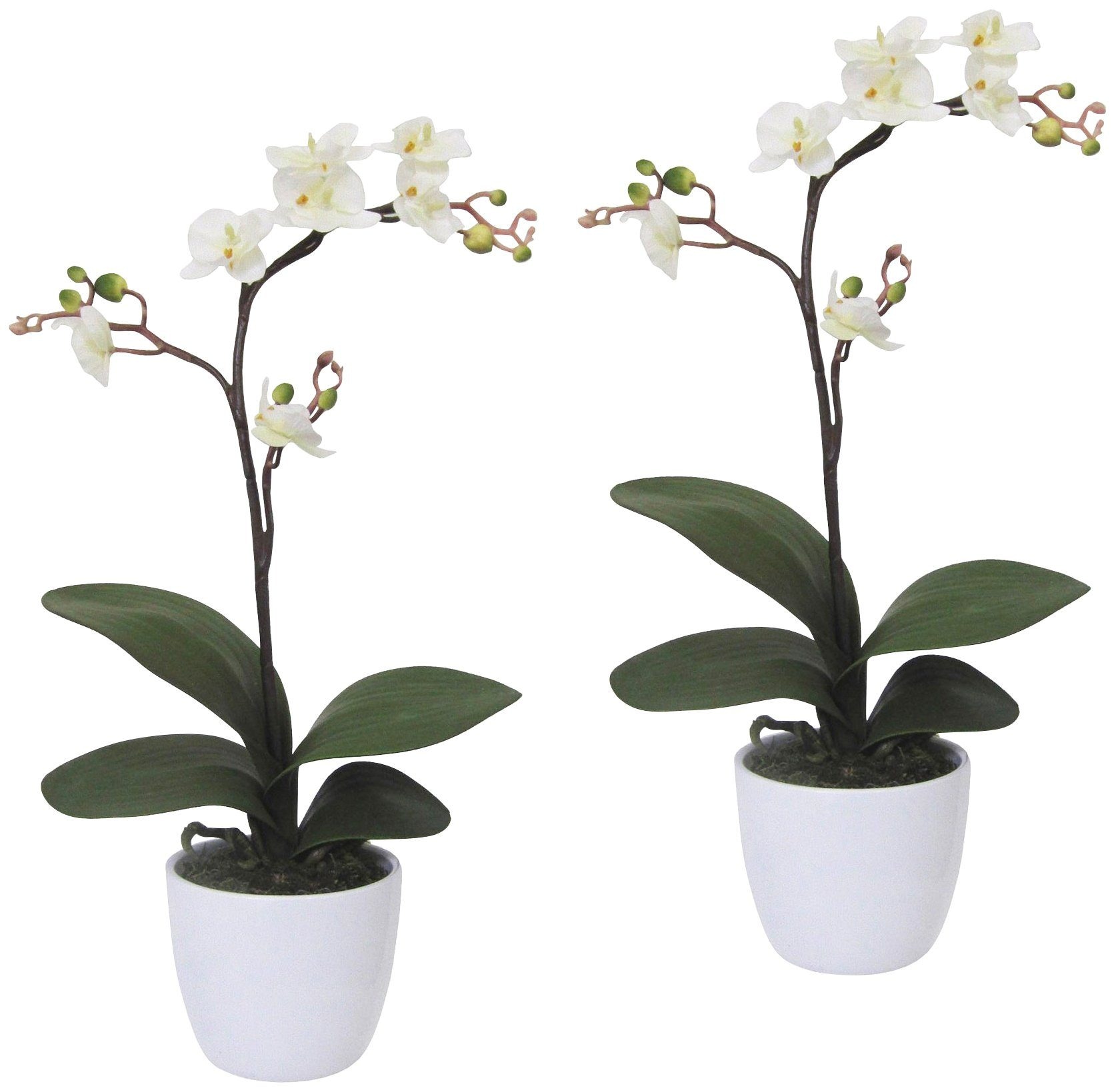 Creativ green Kunstpflanze »Orchidee Phalaenopsis« im Keramiktopf
