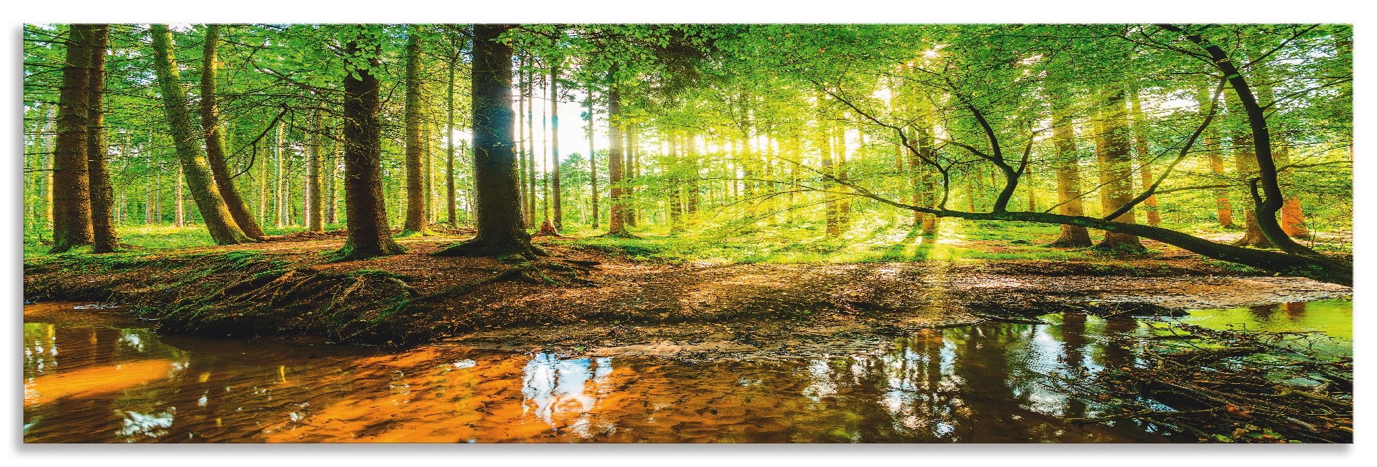 Artland Küchenrückwand »Wald mit Bach«, (1 tlg.), Alu Spritzschutz mit Klebeband, einfache Montage