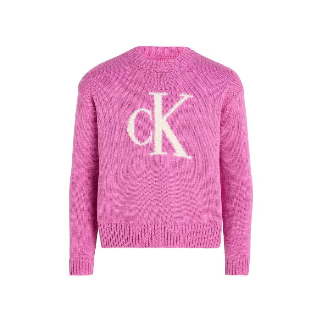 Calvin Klein Jeans Rundhalspullover »FLUFFY MONOGRAM SWEATER«