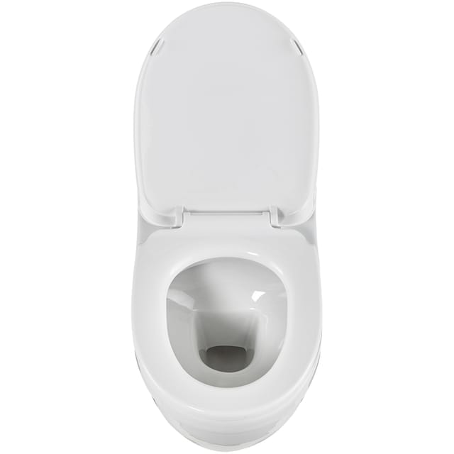 welltime Tiefspül-WC »Dover«, (Set), spülrandlose Toilette aus hochwertiger  Sanitärkeramik, inkl. WC-Sitz online kaufen | mit 3 Jahren XXL Garantie