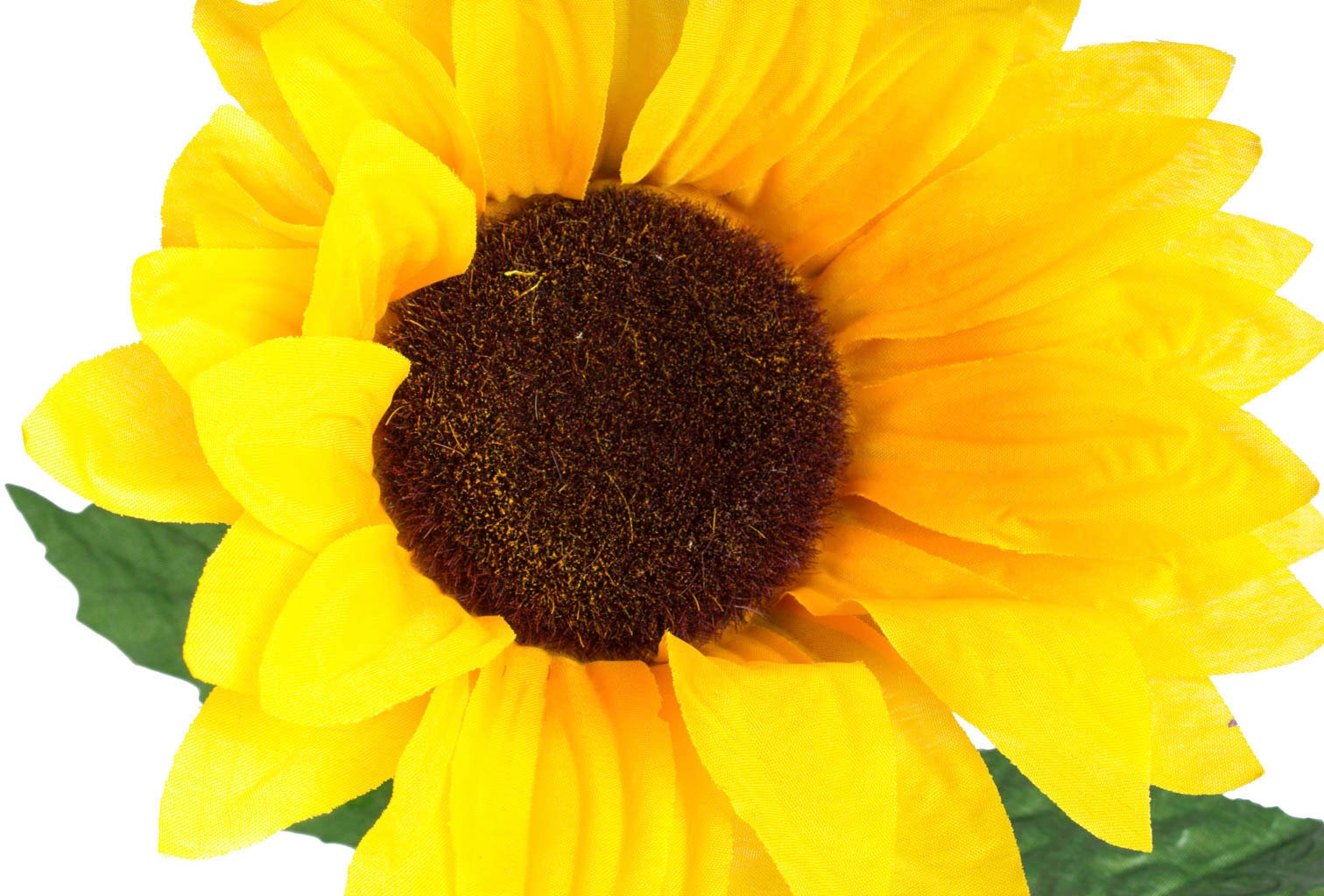 »Sonnenblume« bestellen auf Botanic-Haus Raten Kunstblume