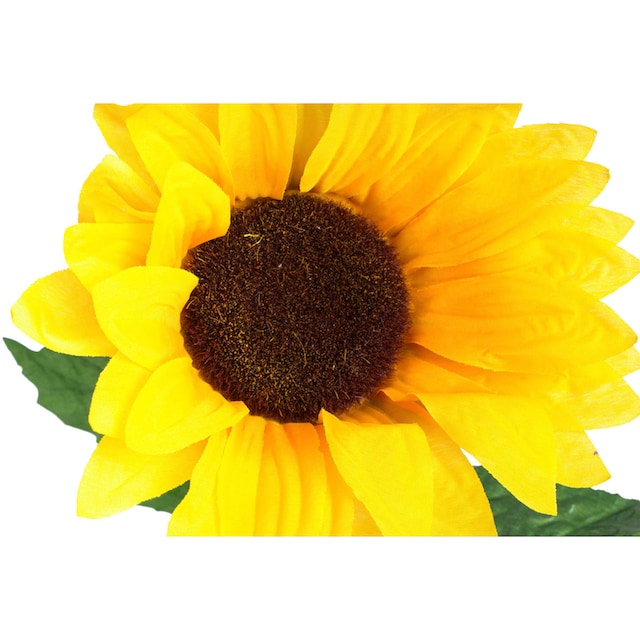auf »Sonnenblume« Kunstblume bestellen Raten Botanic-Haus