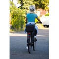 FISCHER Fahrrad Fahrradkoffer »Isolierte Gepäckträger-Box«