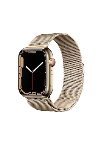 Apple Smartwatch »Series 7, GPS + Cellular, Edelstahl-Gehäuse, 45mm«, (Watch OS 8) kaufen