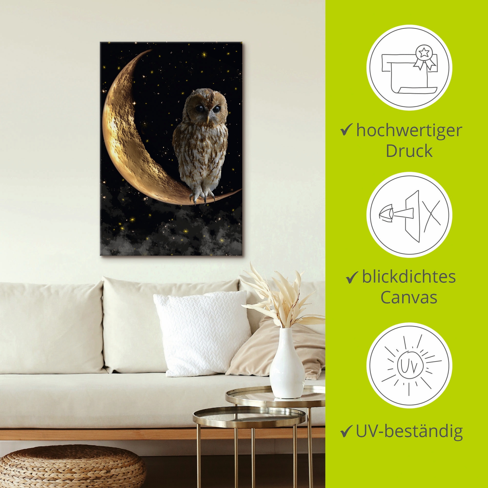 Artland Wandbild »Nachteule«, Vögel, (1 St.), als Alubild, Outdoorbild, Leinwandbild, Poster in verschied. Größen