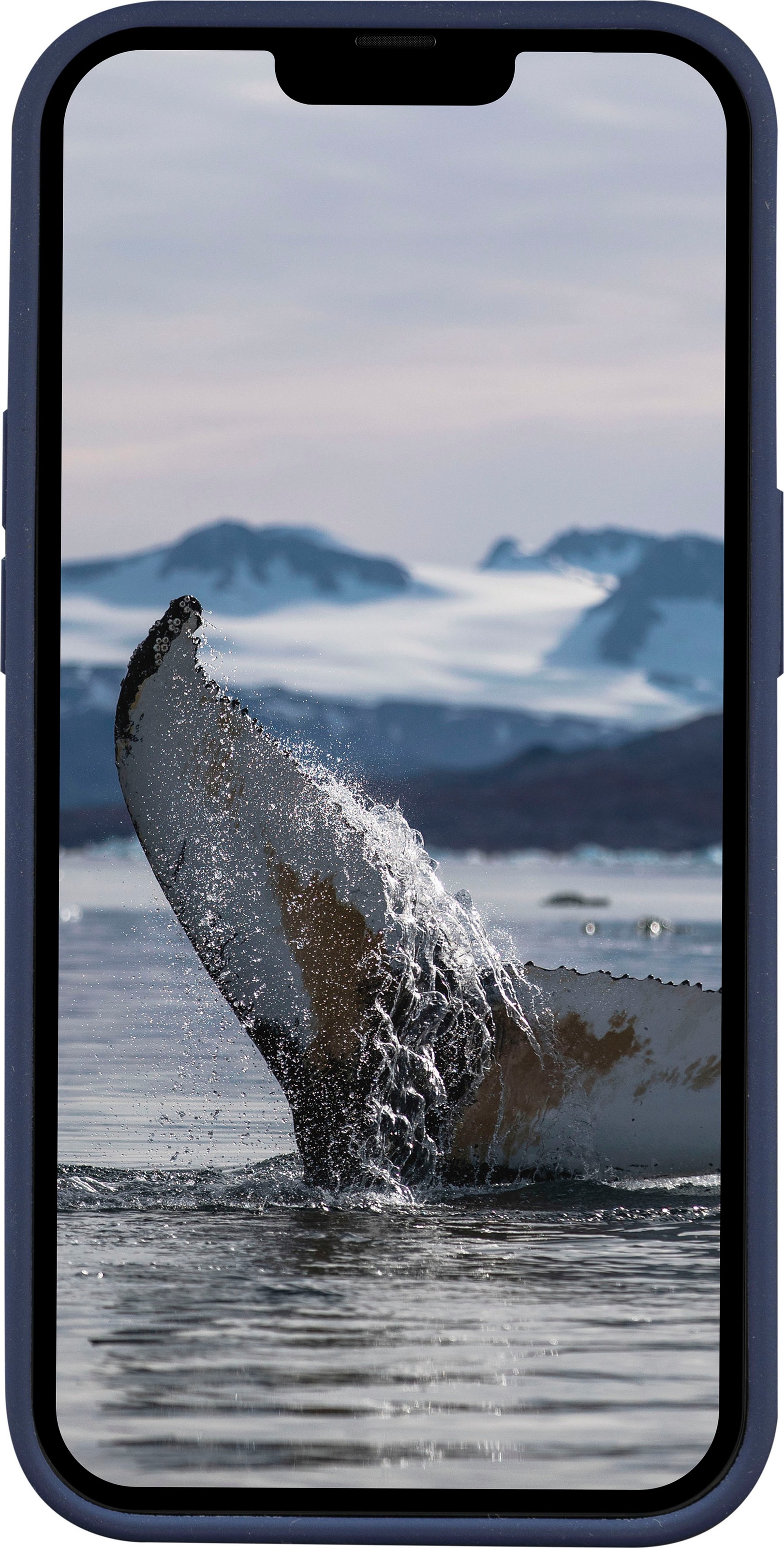 dbramante1928 Handyhülle »Monaco iPhone 14 Pro« iPhone 14 Pro 15,4 cm (6,1 Zoll)