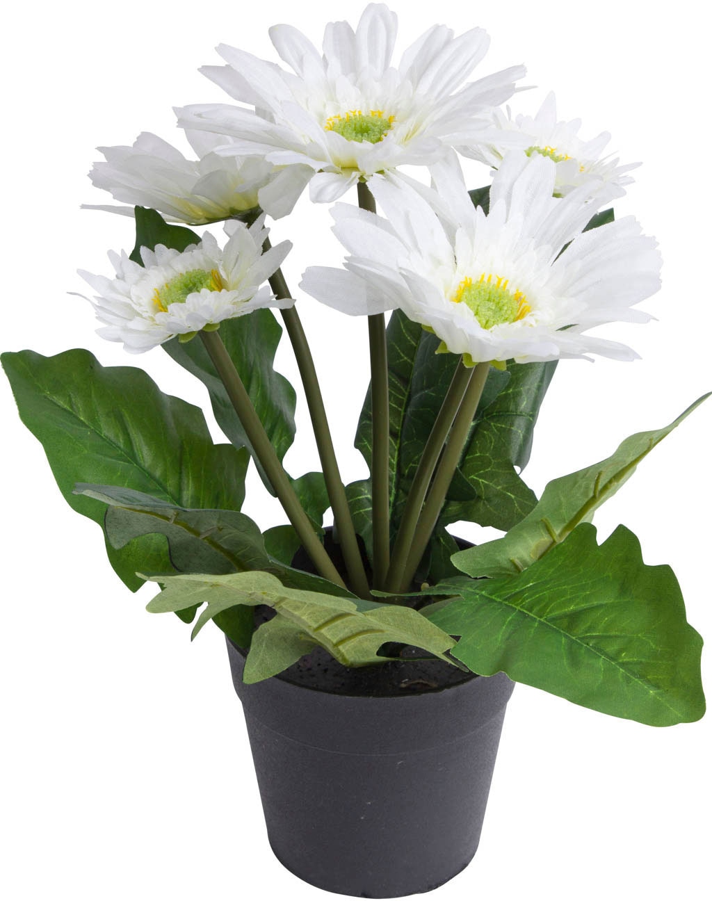 Botanic-Haus Kunstblume »Gerbera mit Rechnung kaufen 5 Blüten« auf