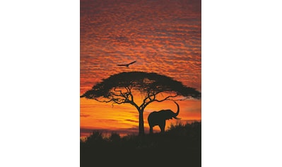 Komar Fototapete »African Sunset«, bedruckt-Wald, ausgezeichnet lichtbeständig kaufen