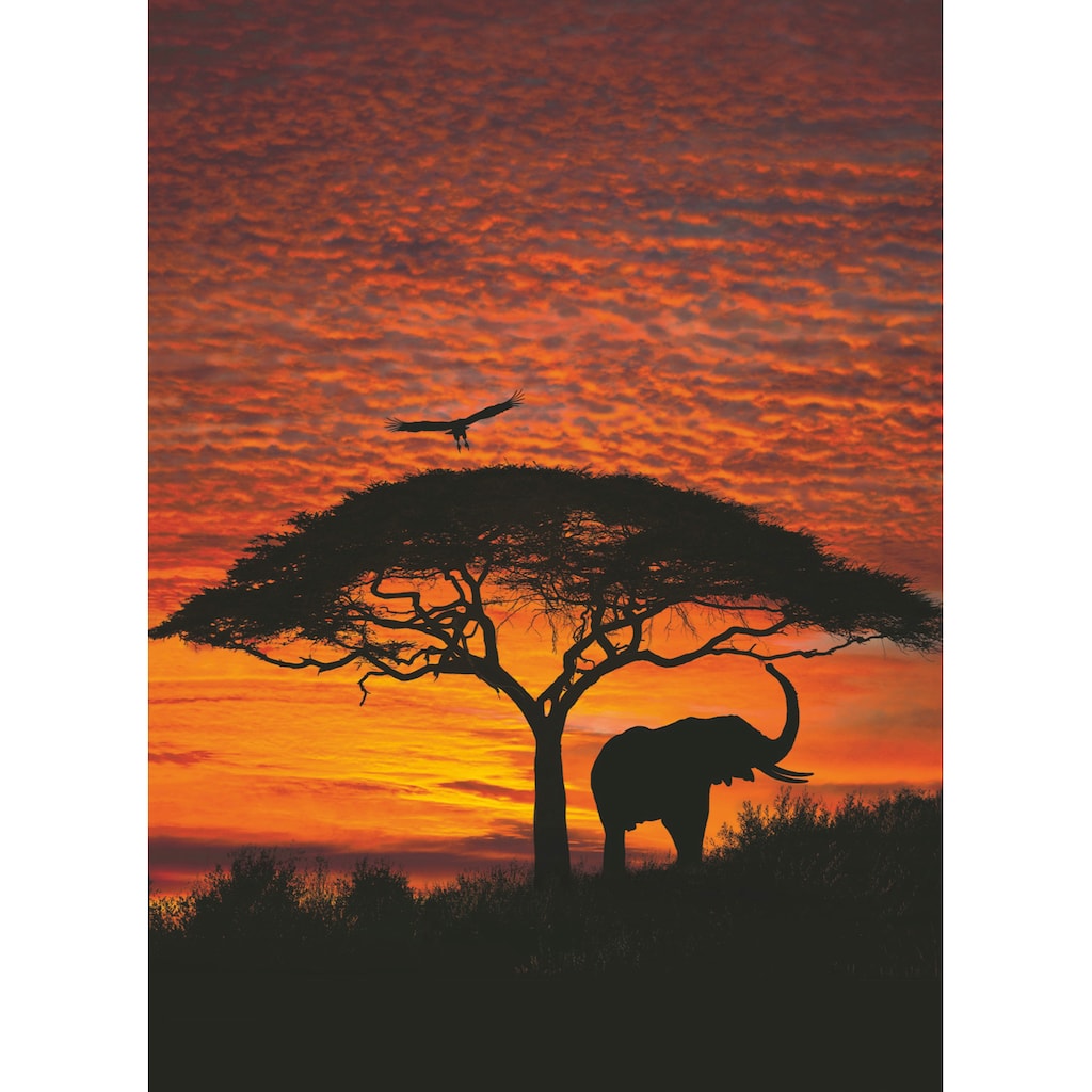 Komar Fototapete »African Sunset«, bedruckt-Wald