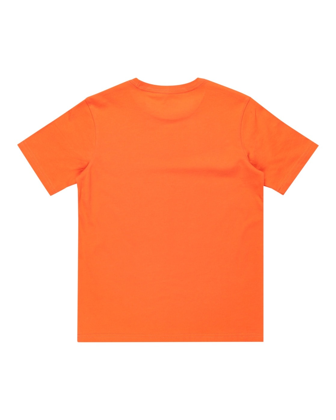 Quiksilver T-Shirt »Ev Typed Out«