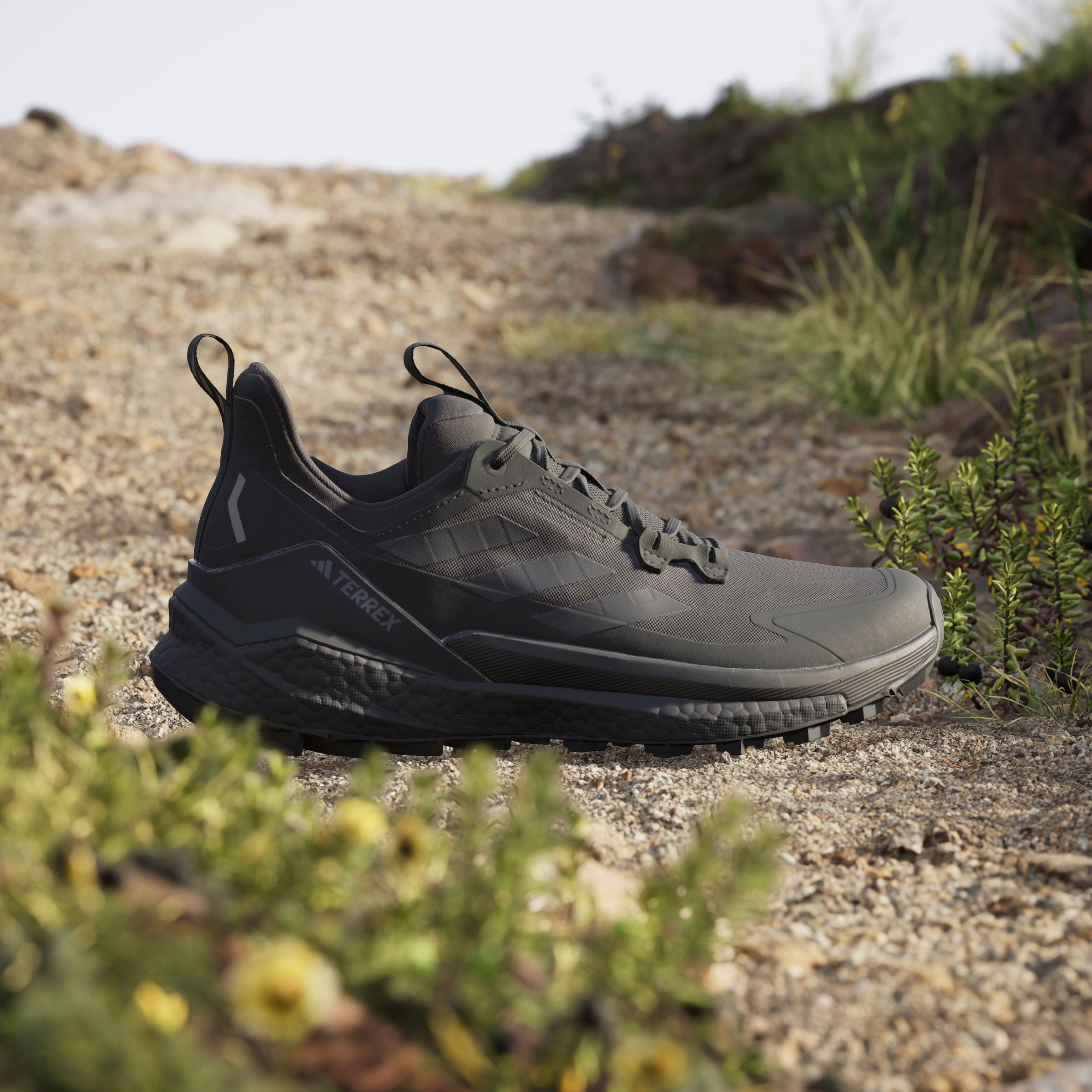 adidas TERREX Wanderschuh »TERREX FREE HIKER 2.0 LOW«