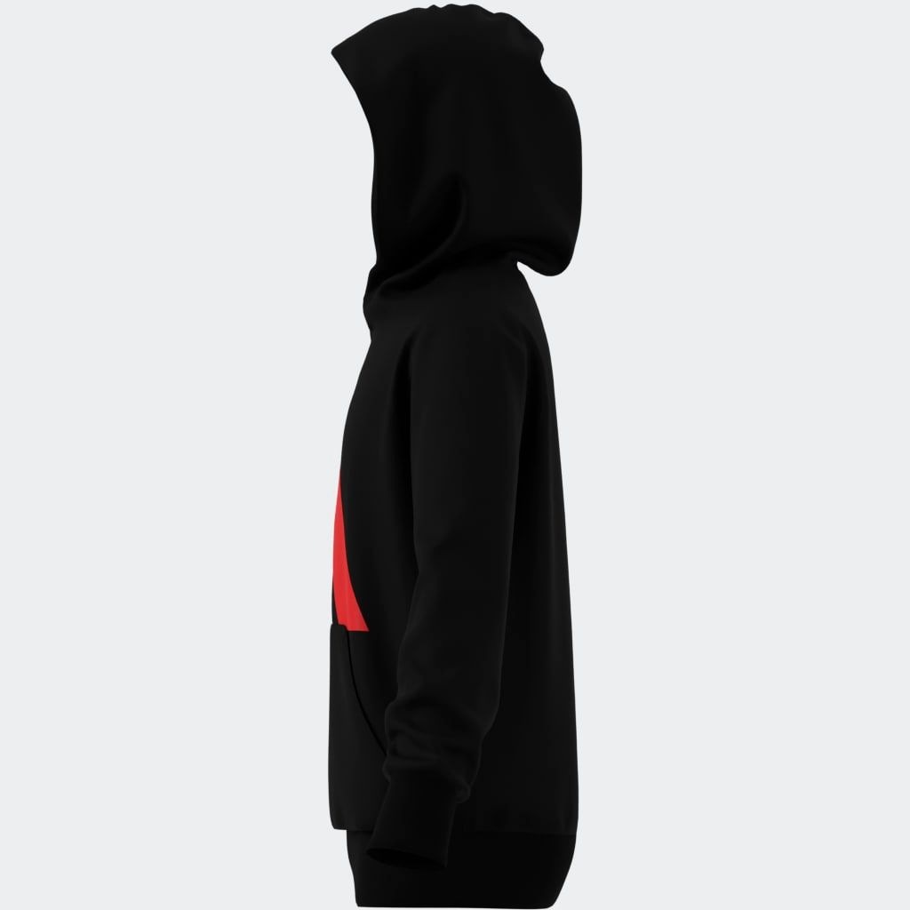 adidas Sportswear Kapuzensweatshirt »ESSENTIALS KIDS HOODIE«
