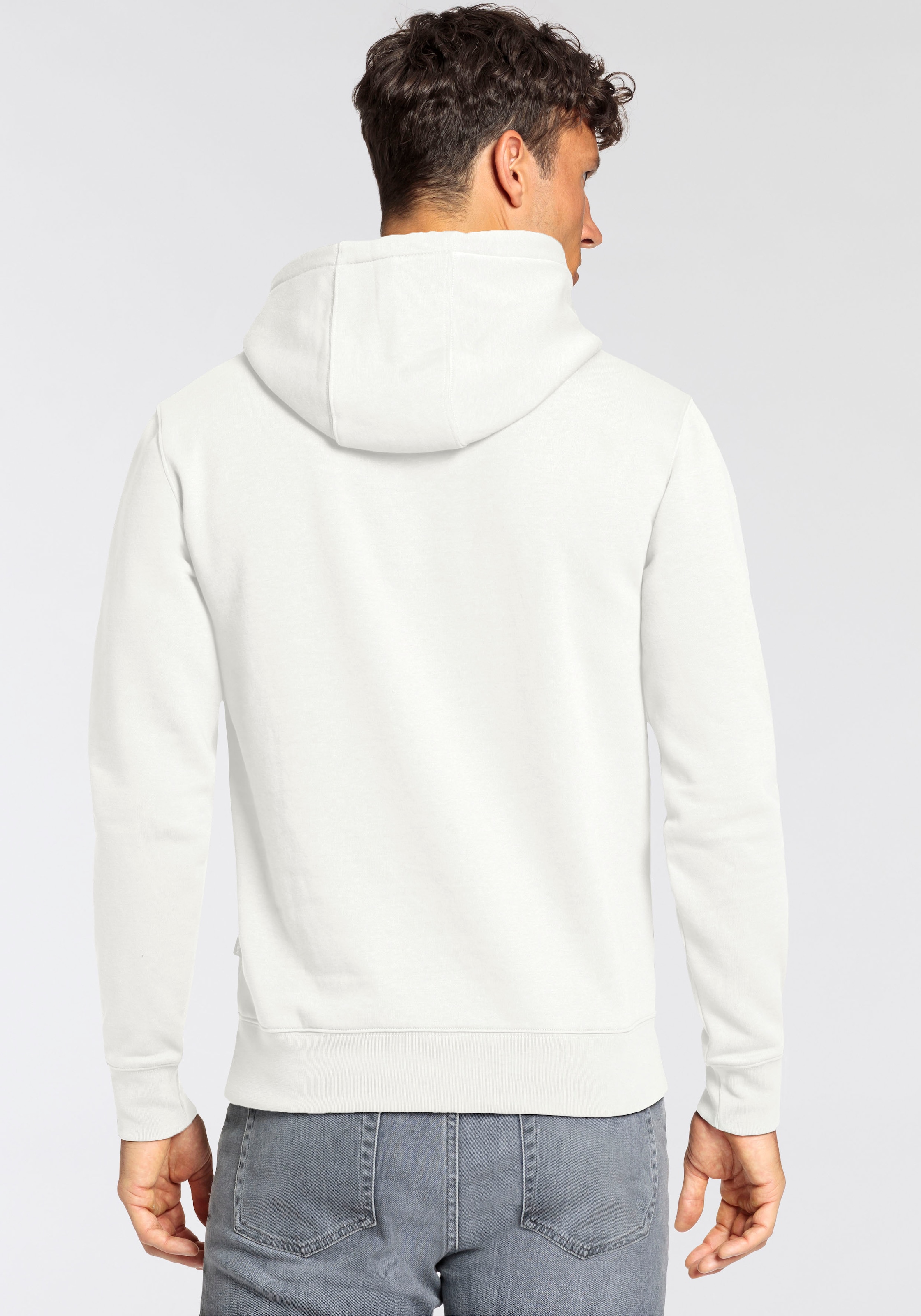 Quiksilver Kapuzensweatshirt »BASIC HOODIE YOUNG MEN«